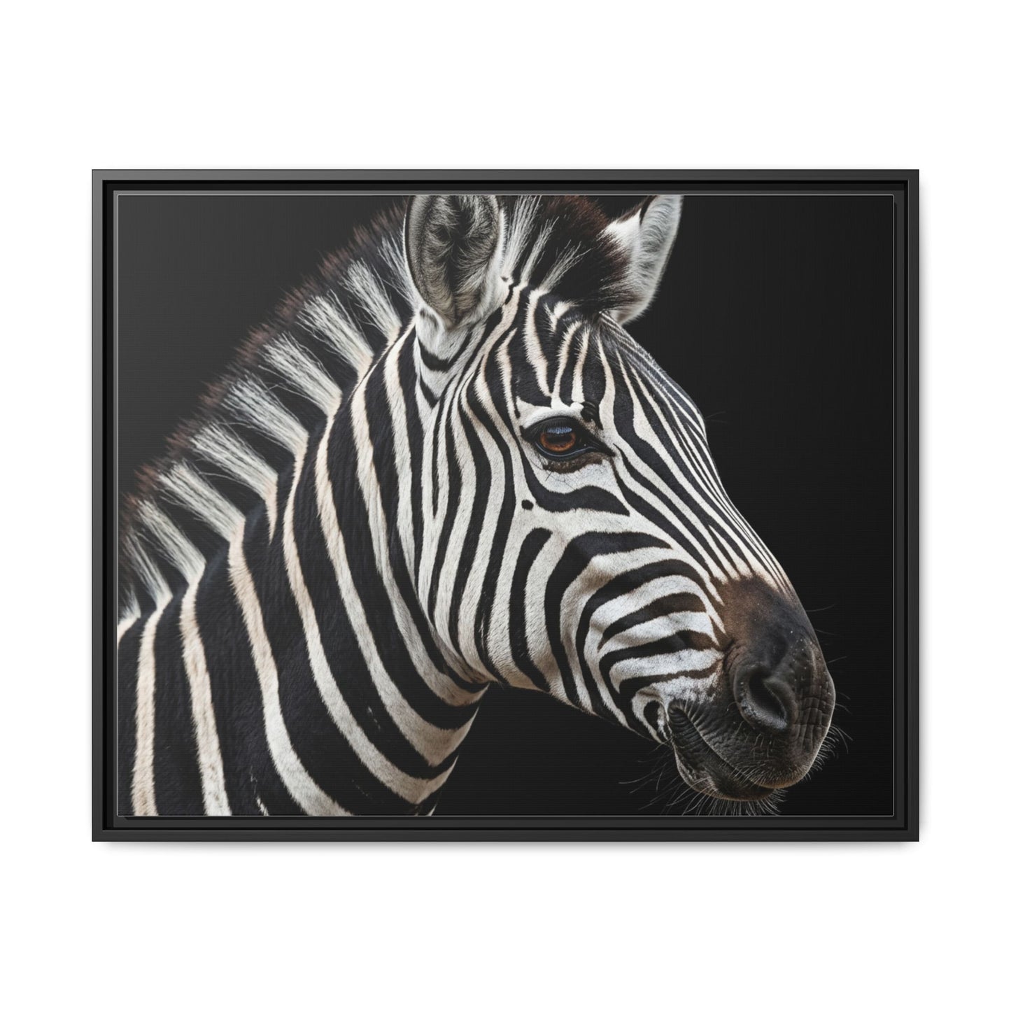 Framed Canvas Print — Zebra In Colour