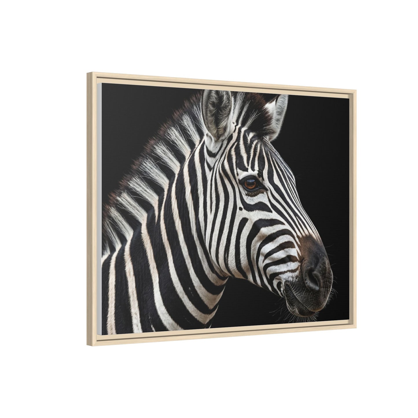 Framed Canvas Print — Zebra In Colour