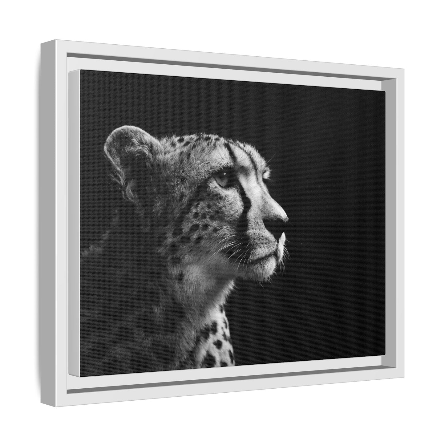 Framed Canvas Print — Cheetah Gaze