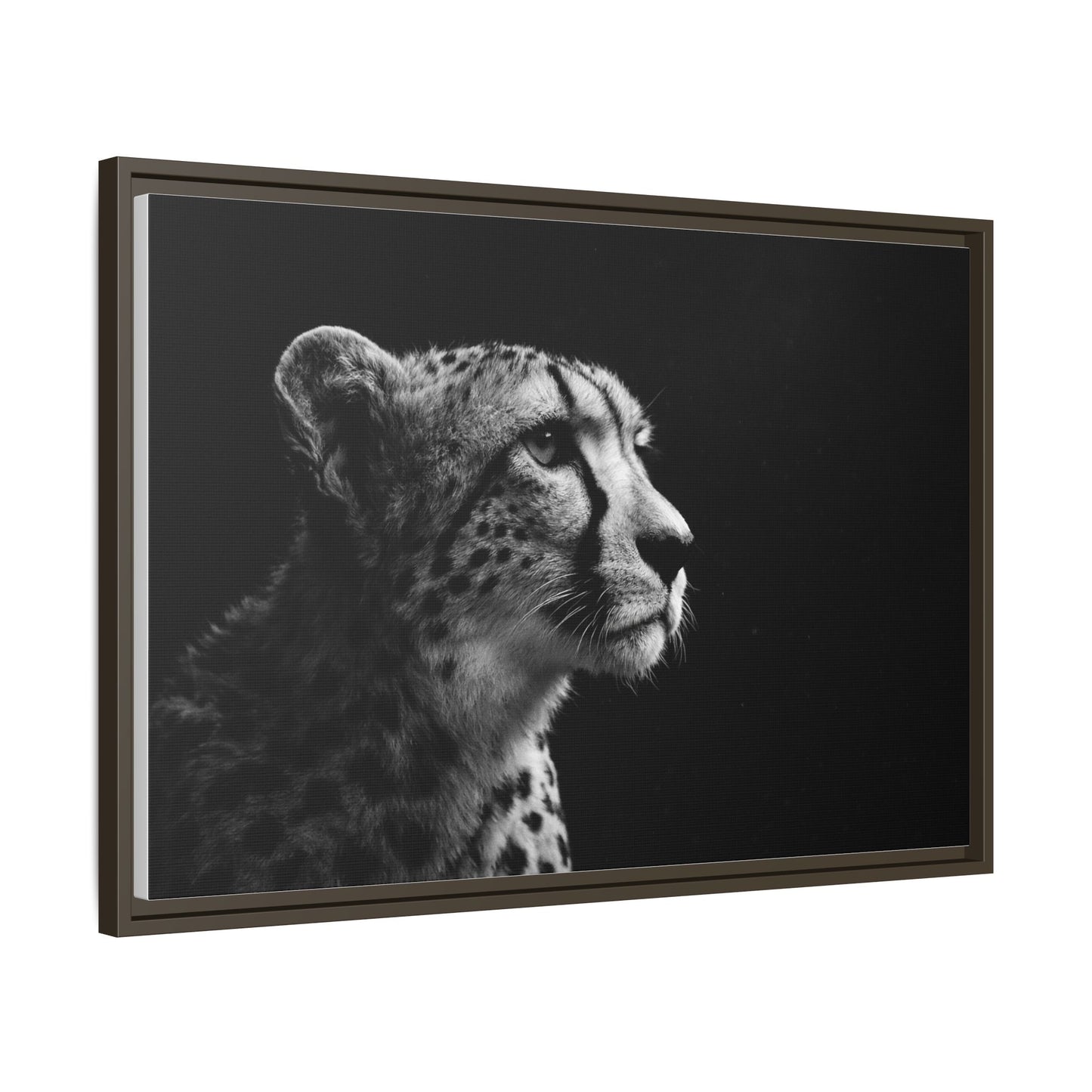 Framed Canvas Print — Cheetah Gaze