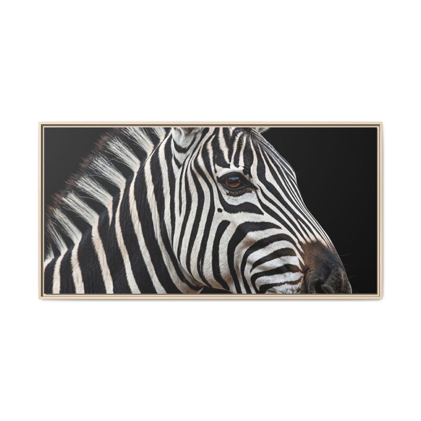 Framed Canvas Print — Zebra In Colour