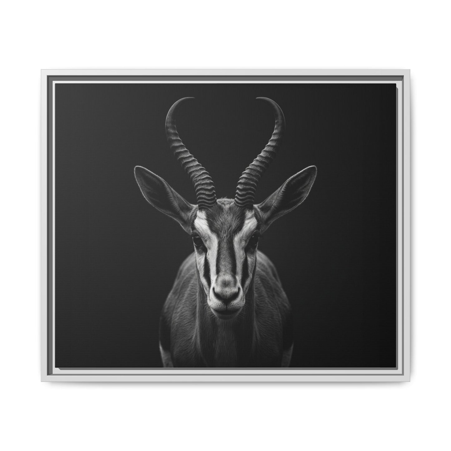 Framed Canvas Print — Springbok In Black