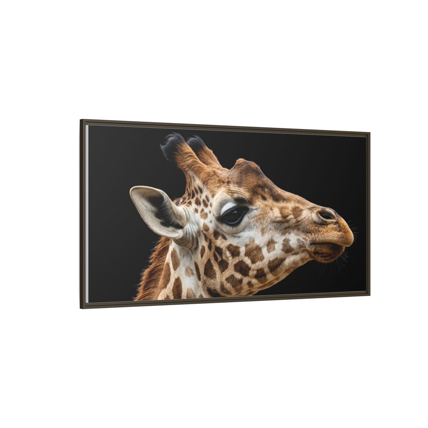 Framed Canvas Print — Giraffe In Colour