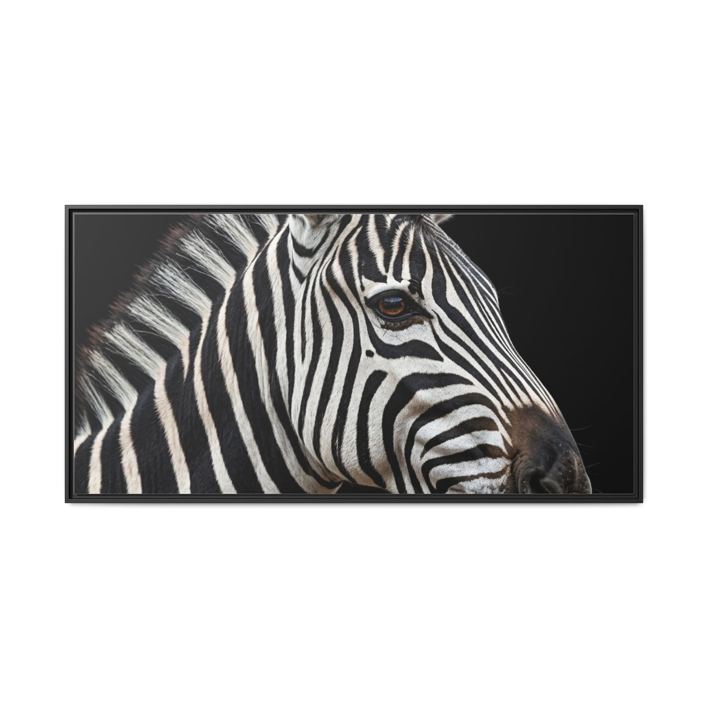 Framed Canvas Print — Zebra In Colour