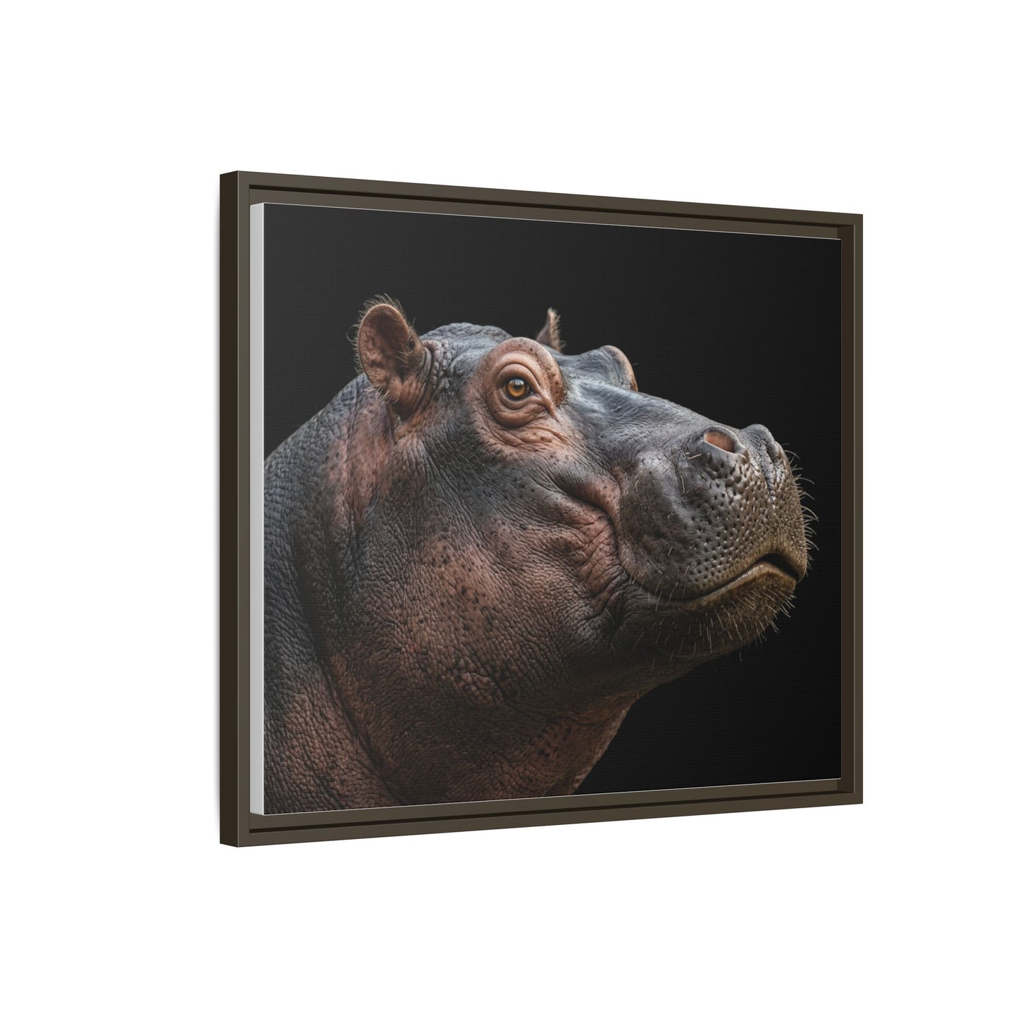 Framed Canvas Print — Hippopotamos In Colour