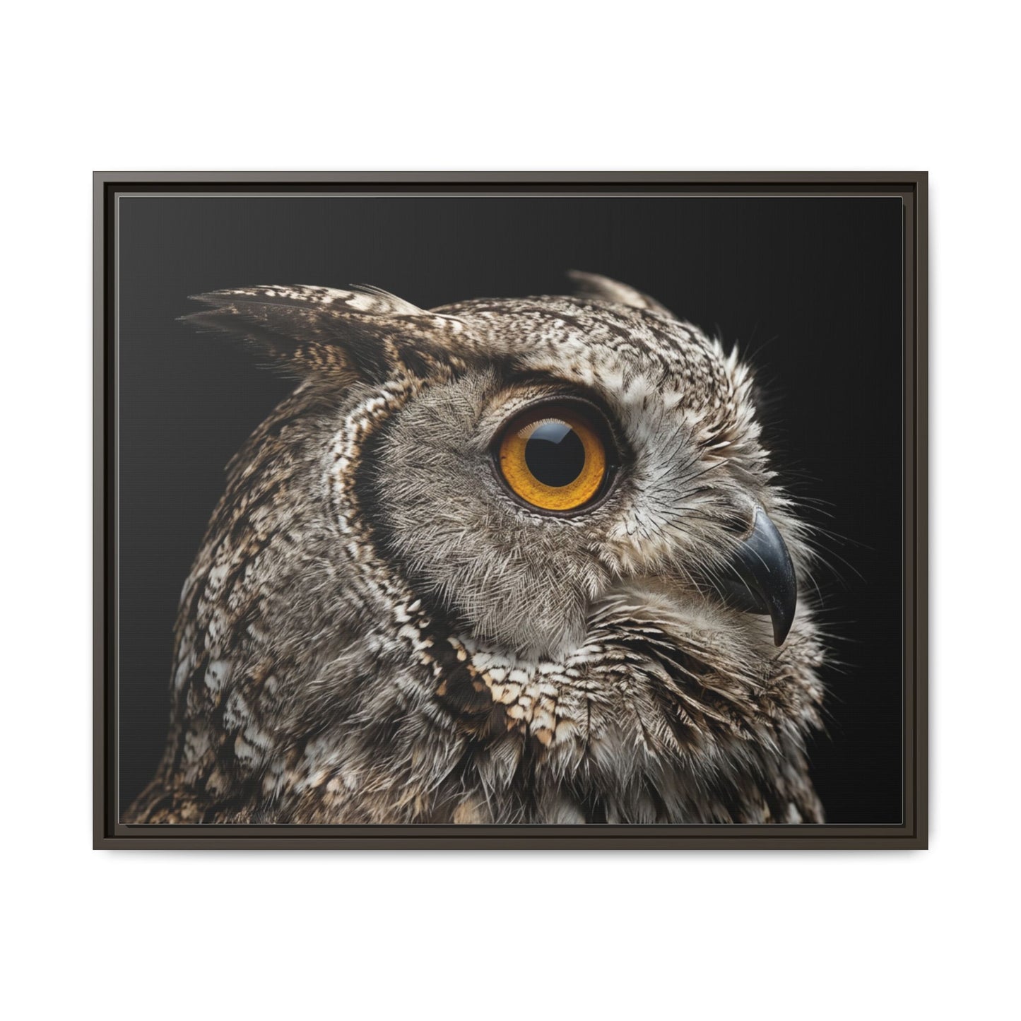 Framed Canvas Print — Scops Owl In Colour