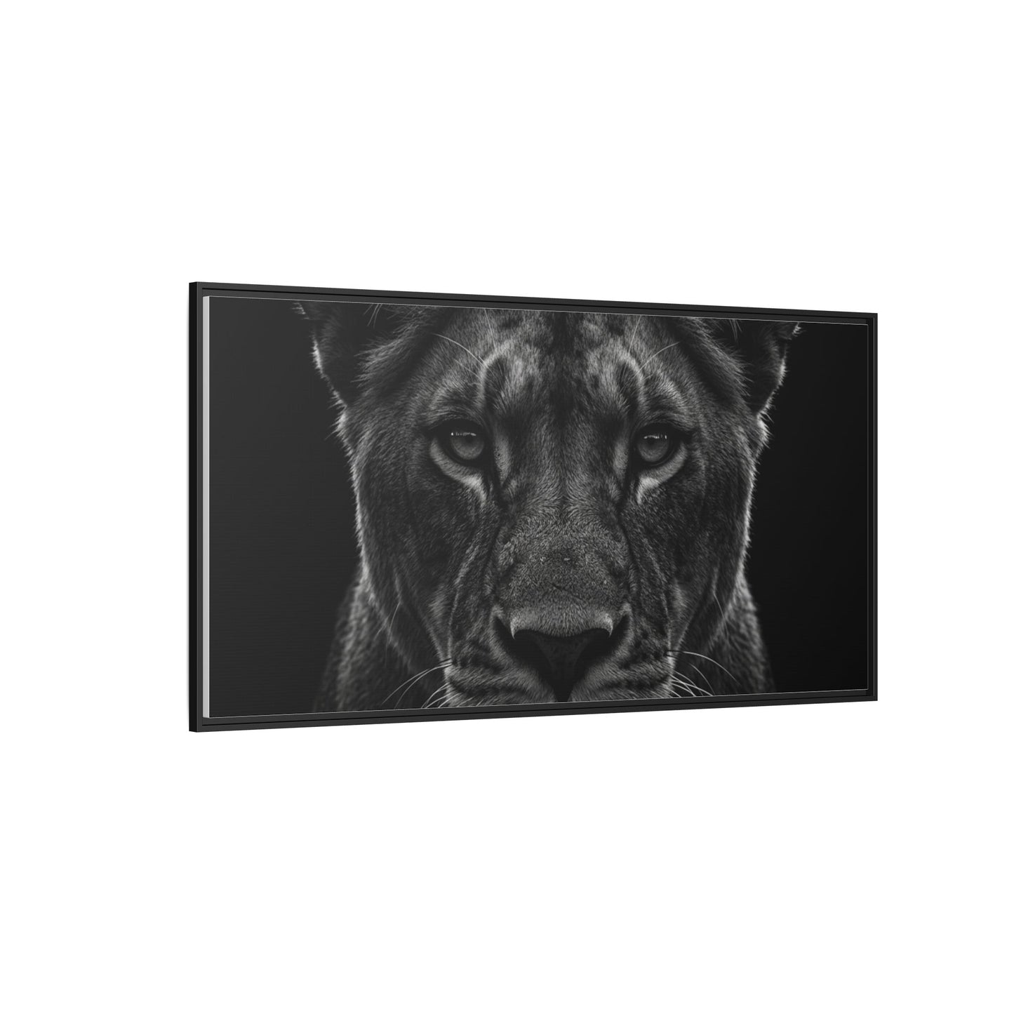 Framed Canvas Print — Lioness In Black