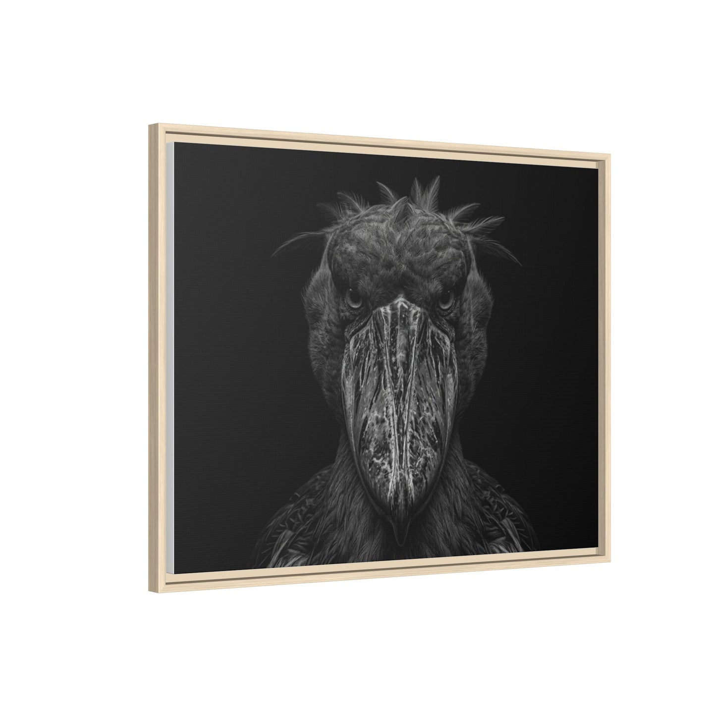 Framed Canvas Print — Shoebill Stock In Black