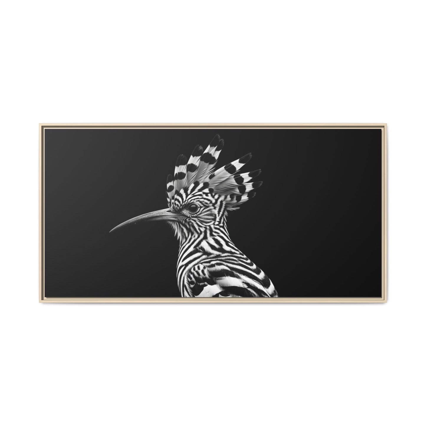 Framed Canvas Print — Afrikan Hoopoe In Black