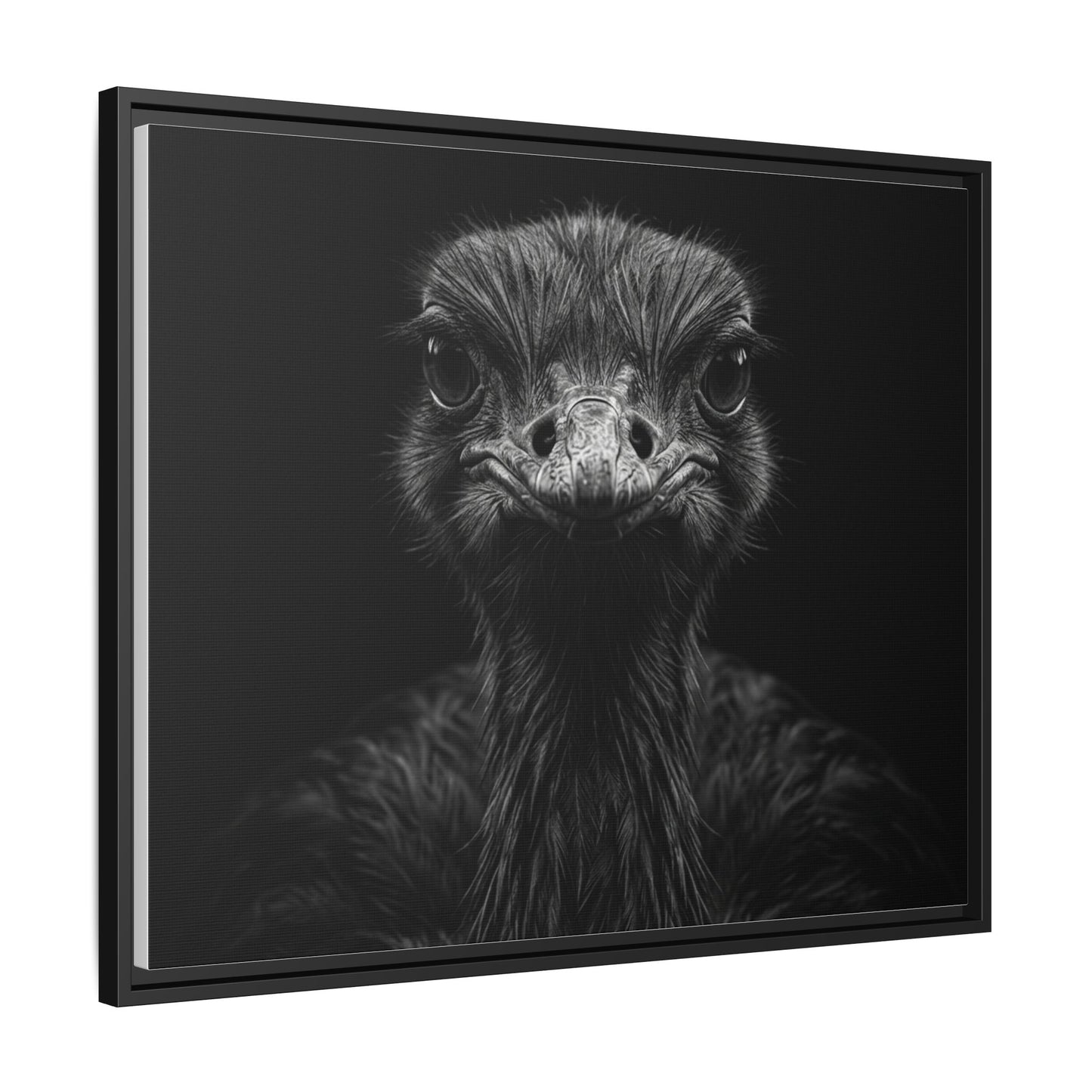 Framed Canvas Print — Ostrich In Black
