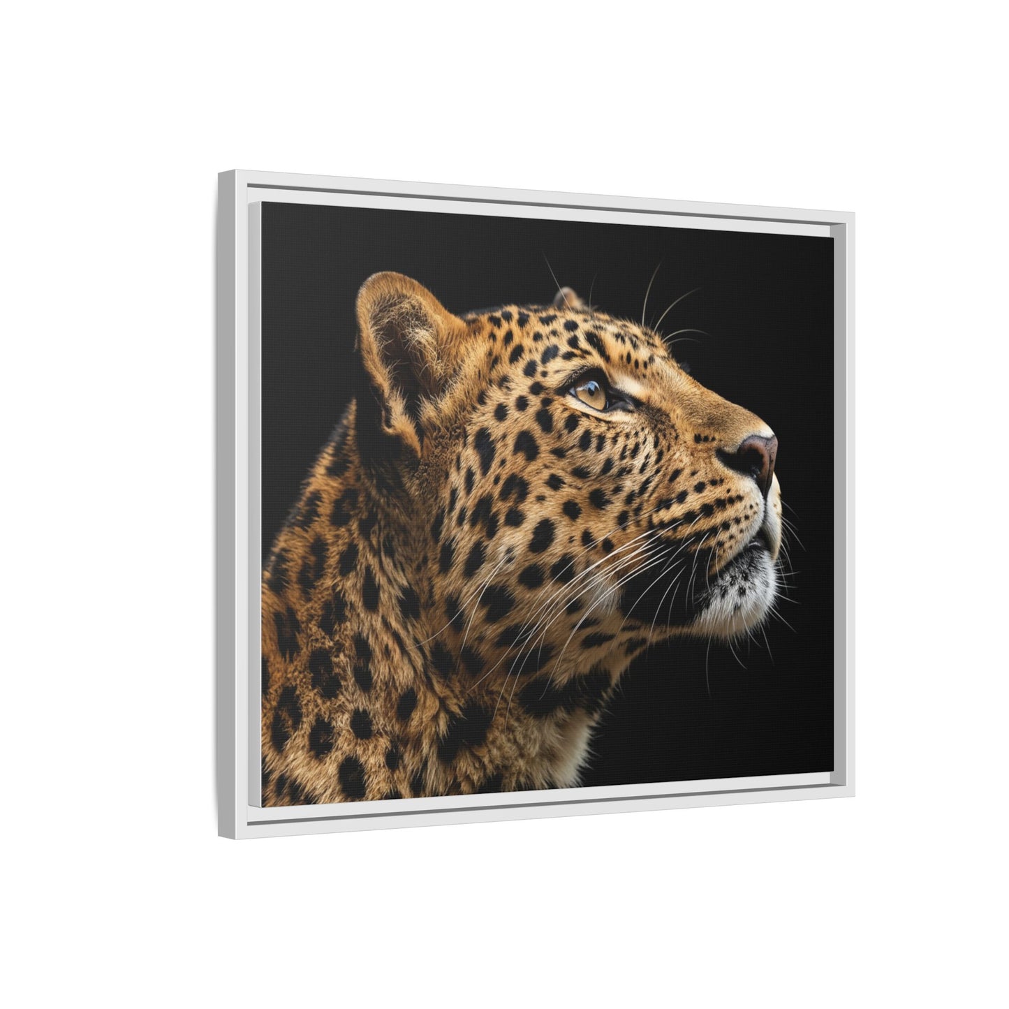 Framed Canvas Print — Leopard In Colour