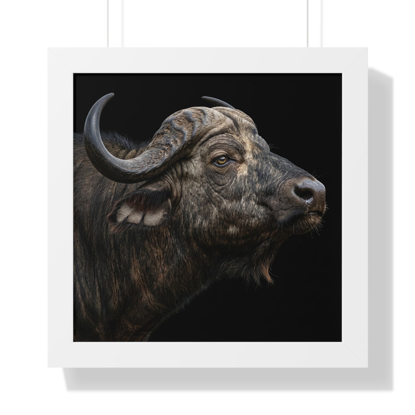 Framed Art Print – Cape Buffalo In Colour