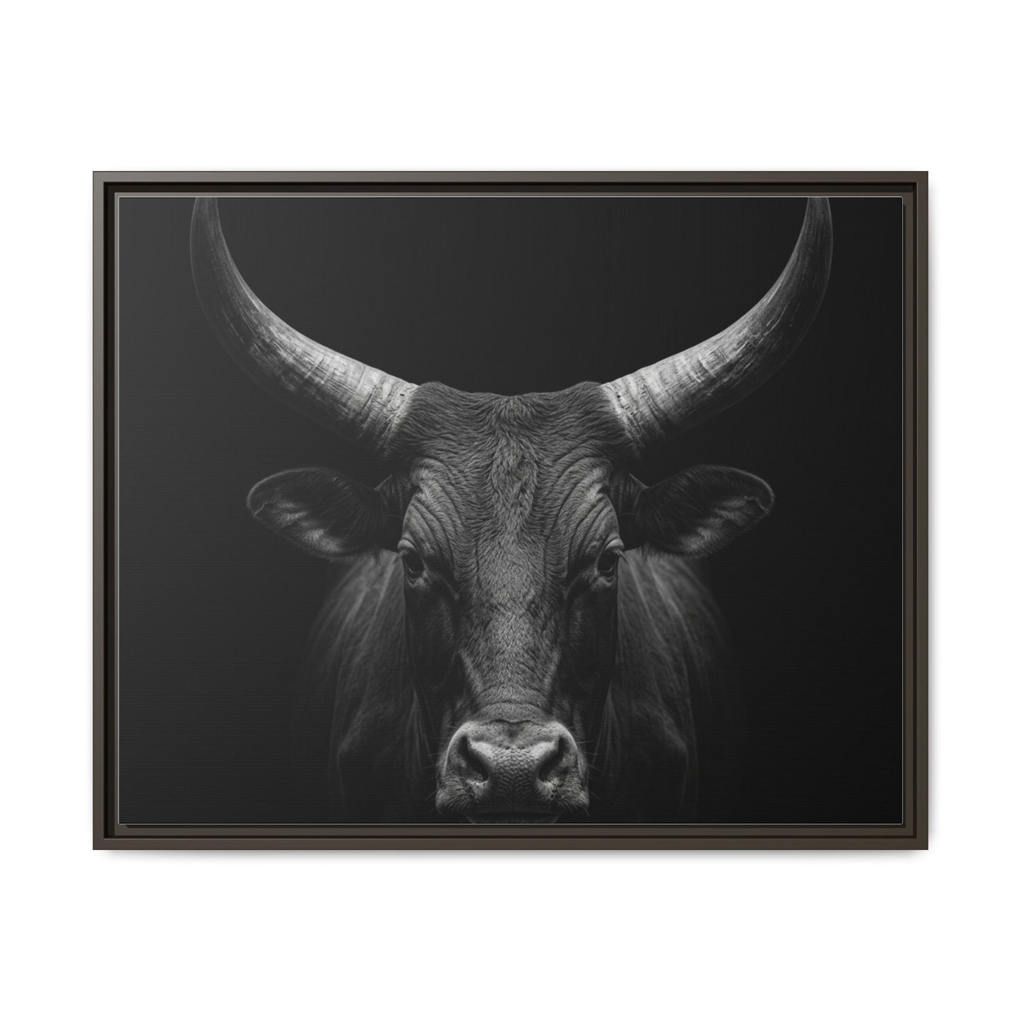 Framed Canvas Print — Ankole Cow In Black