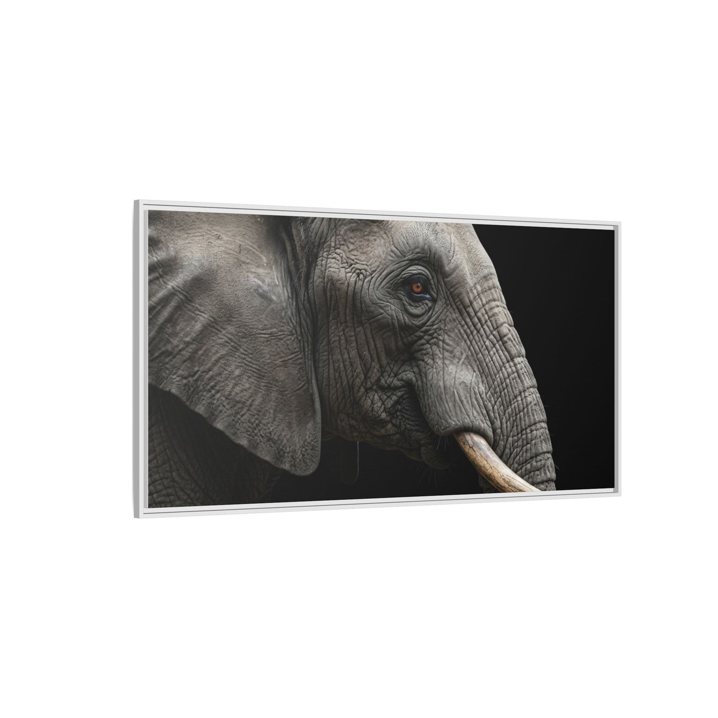 Framed Canvas Print — Elephant In Colour