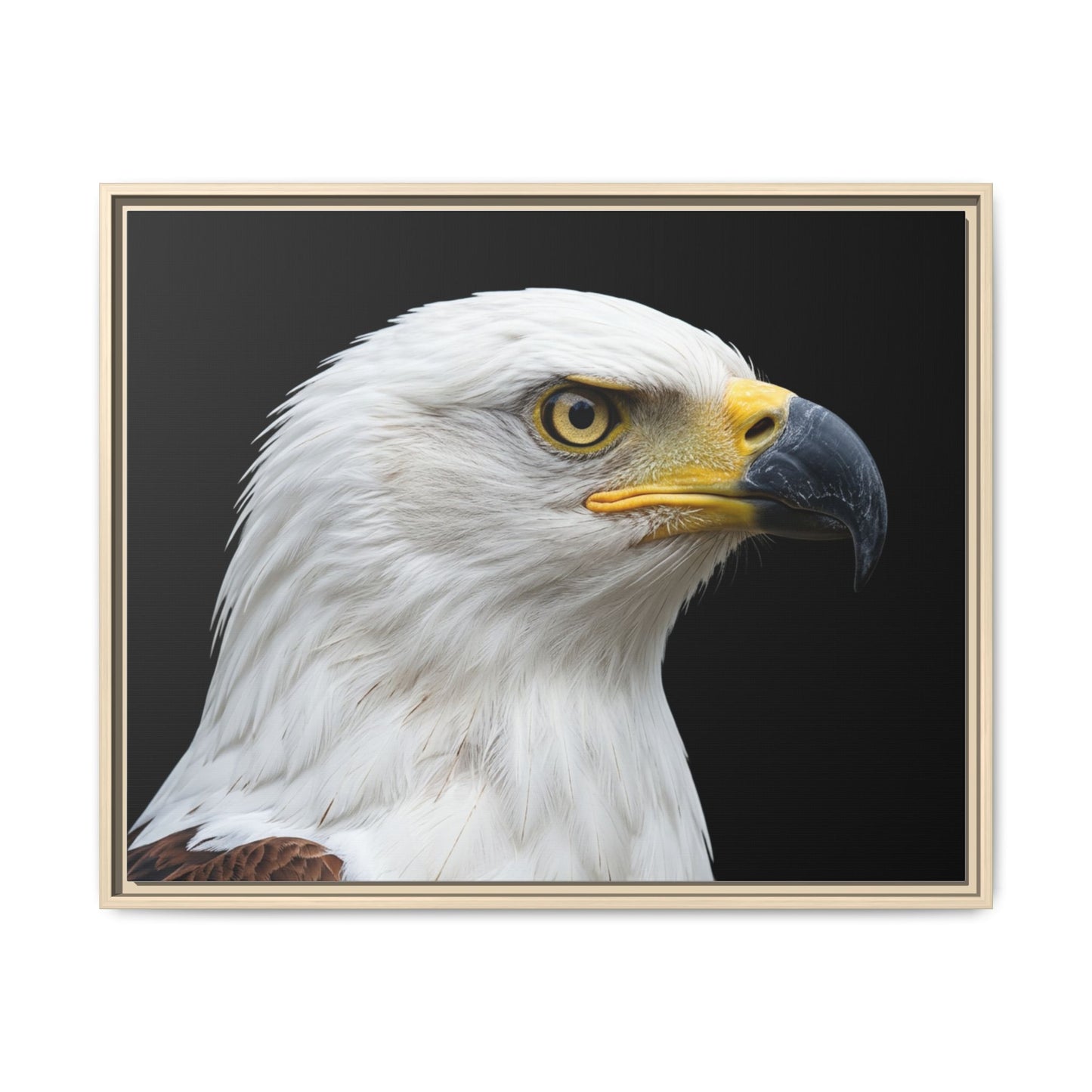 Framed Canvas Print — Fish Eagle In Colour