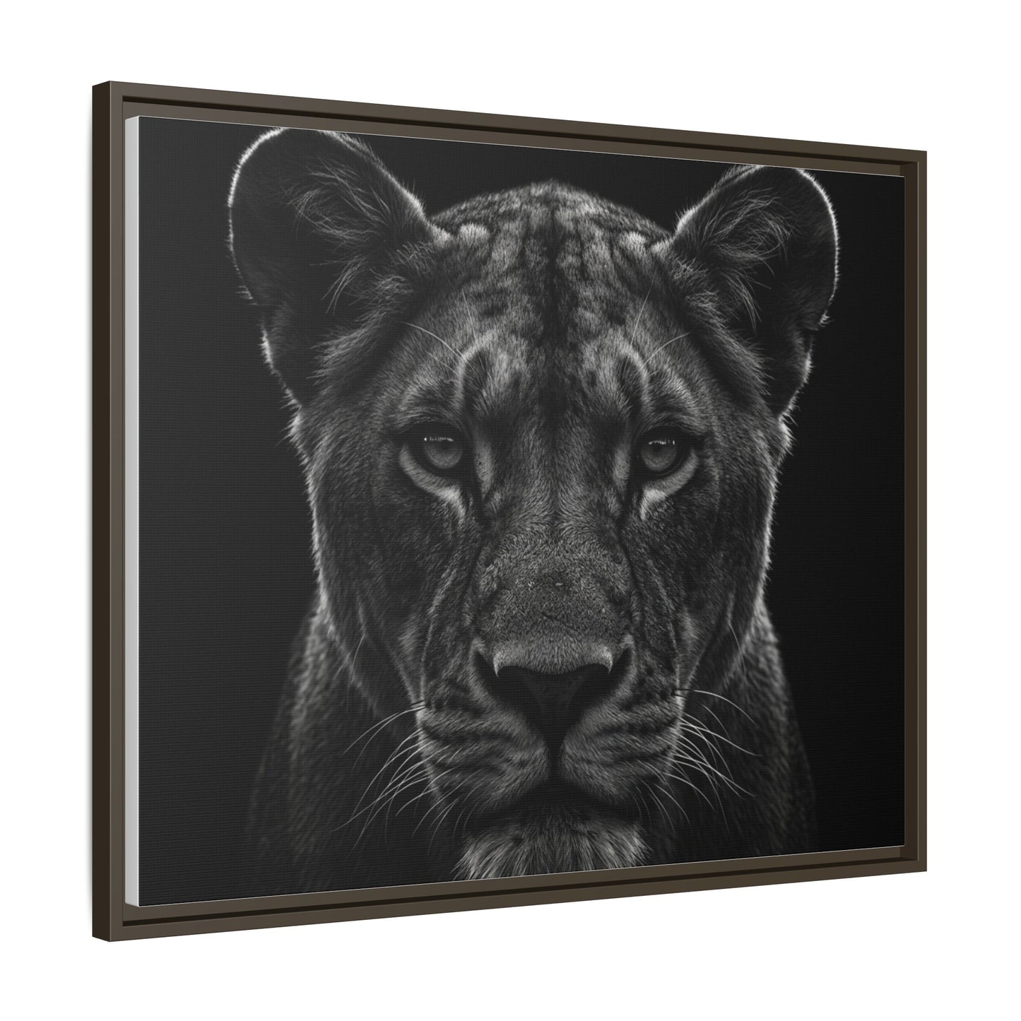 Framed Canvas Print — Lioness In Black