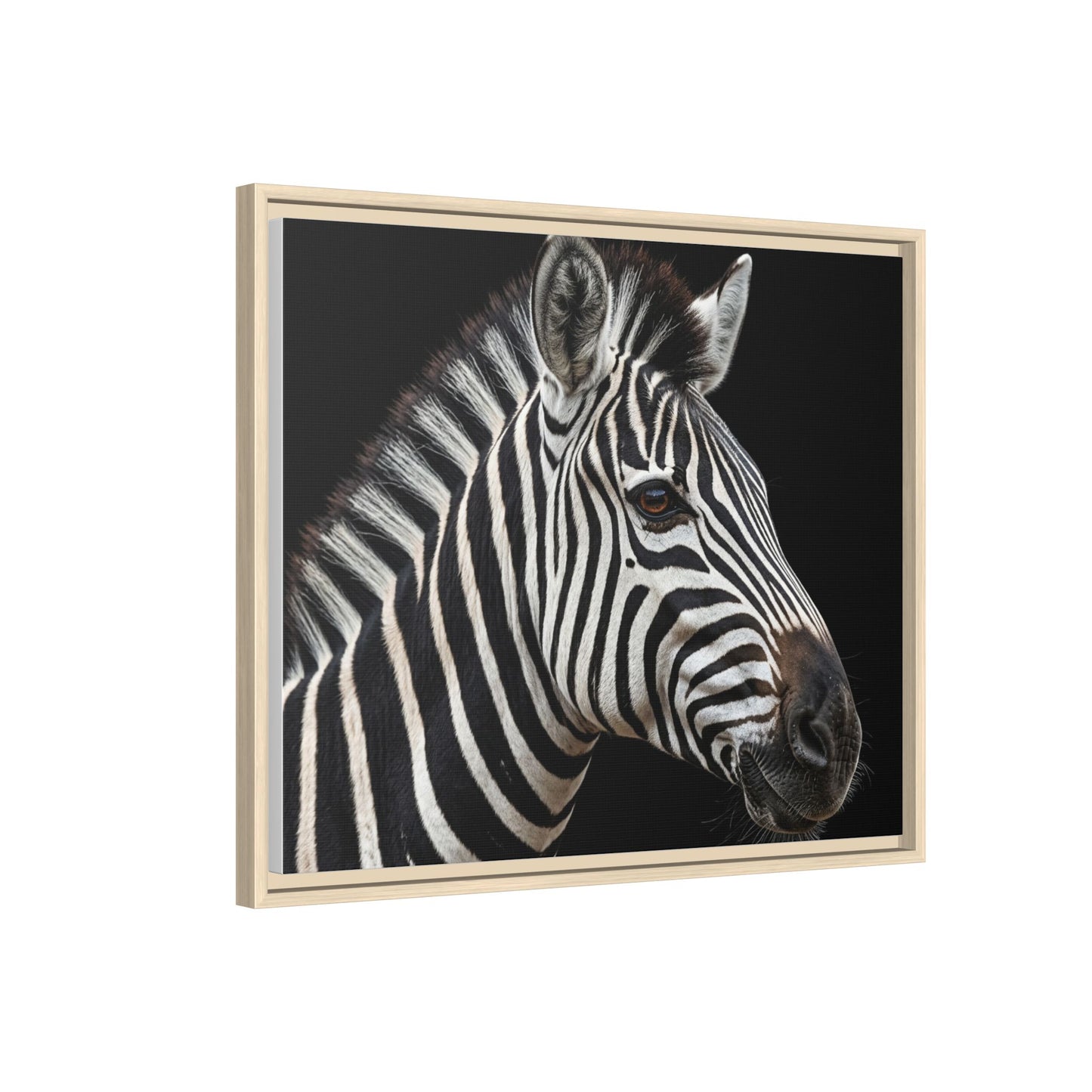 Framed Canvas Print — Zebra In Colour