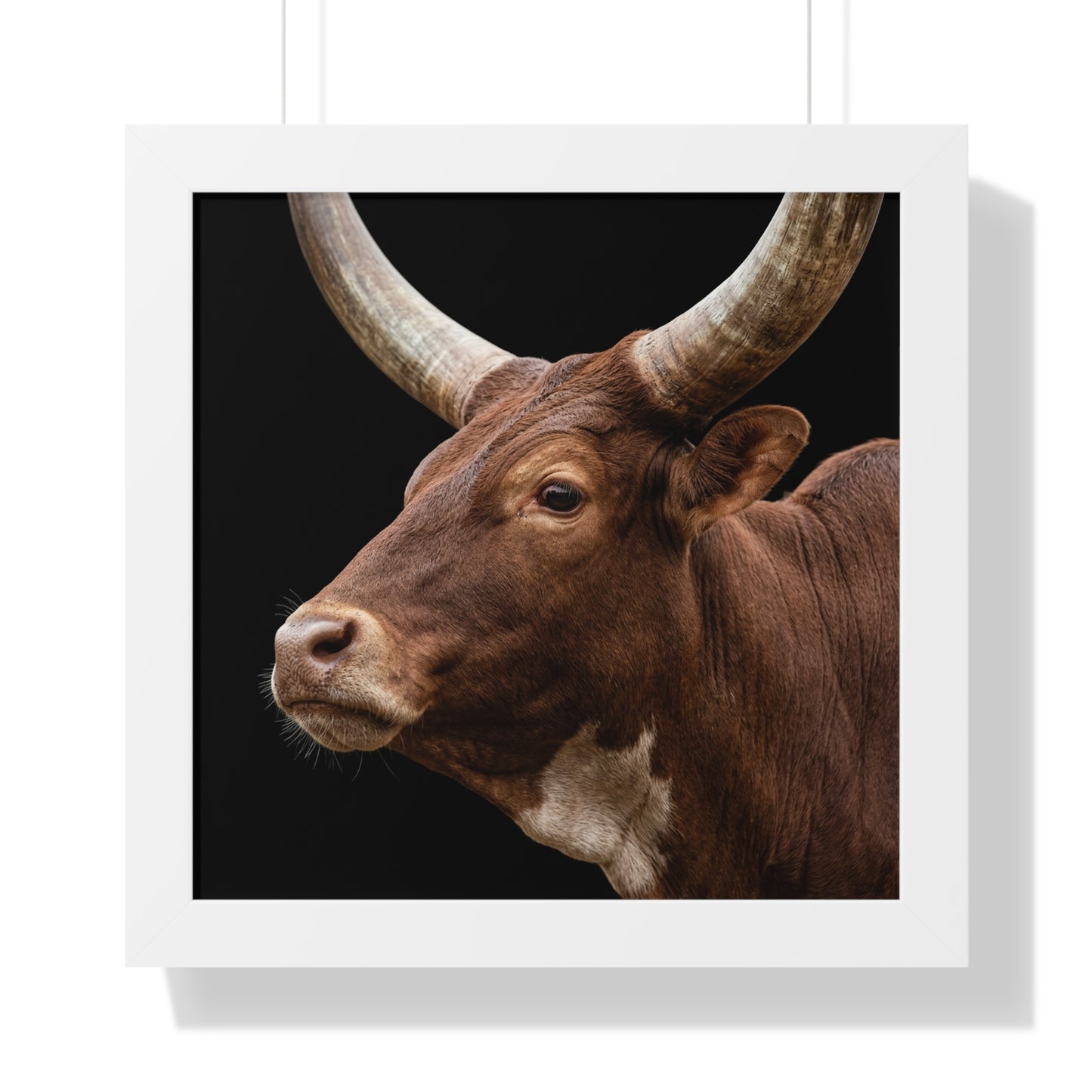 Framed Art Print – Ankole Cow In Colour