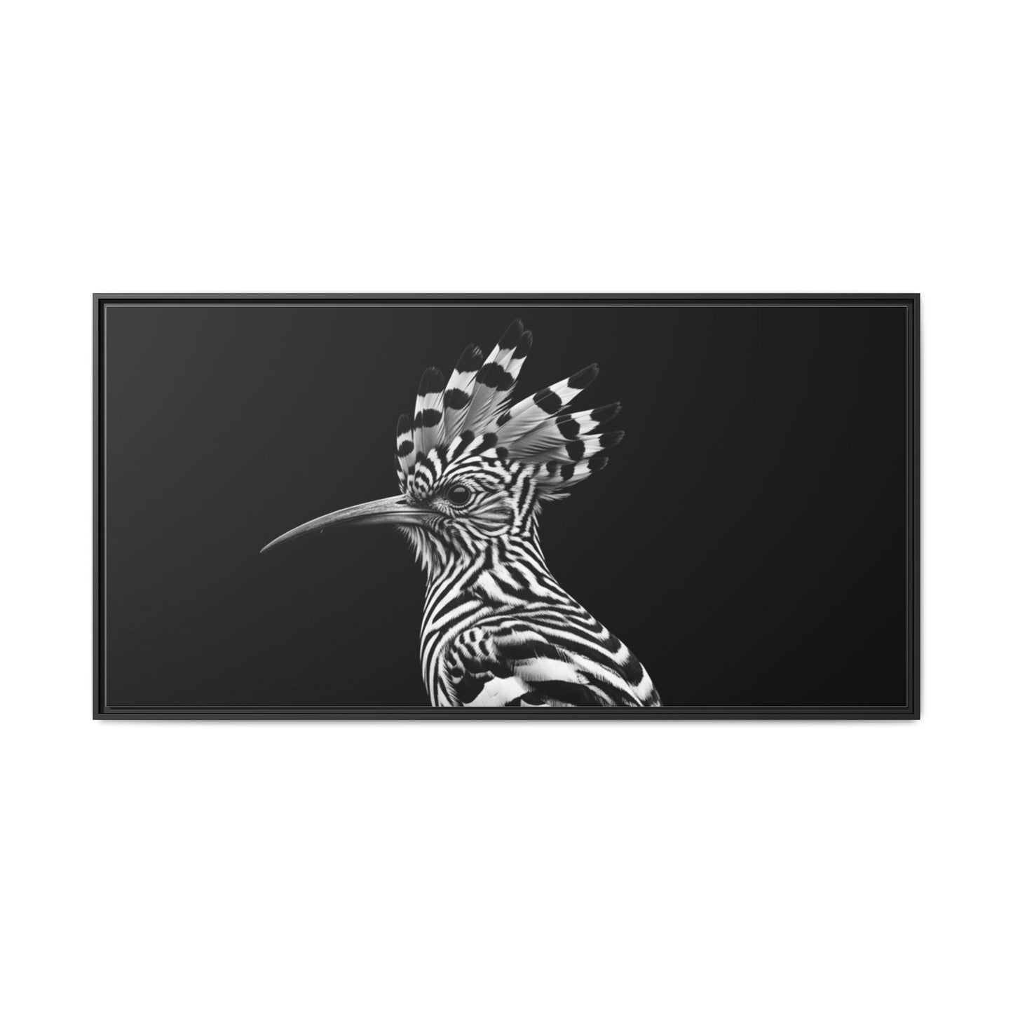 Framed Canvas Print — Afrikan Hoopoe In Black