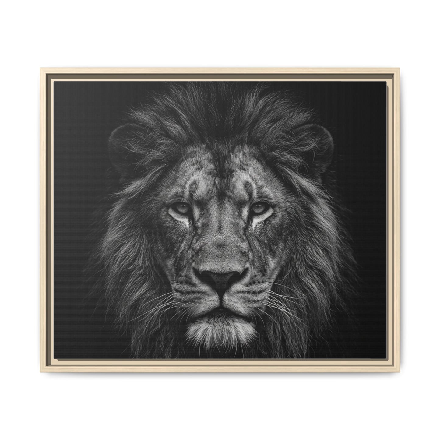 Framed Canvas Print — Lion In Black