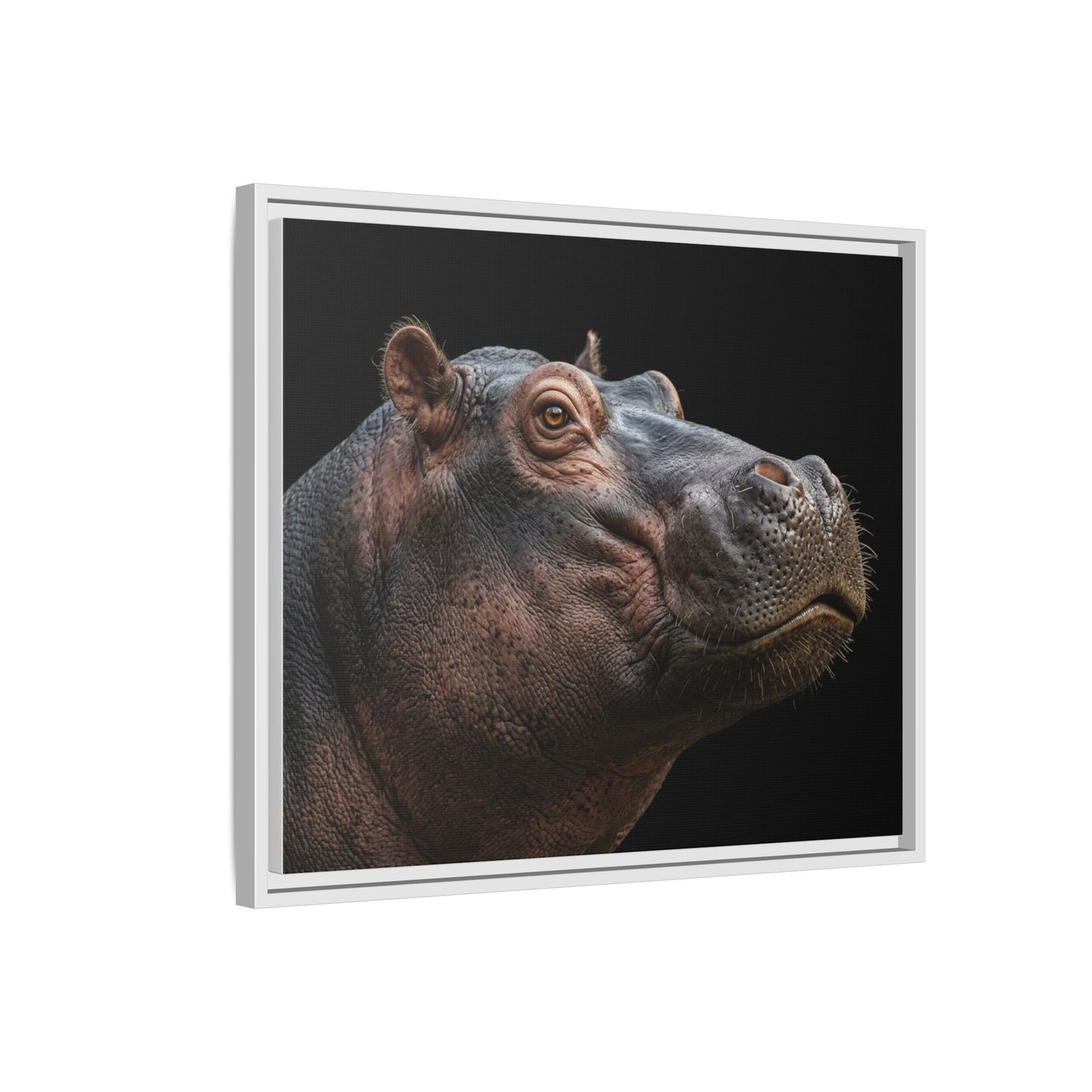 Framed Canvas Print — Hippopotamos In Colour