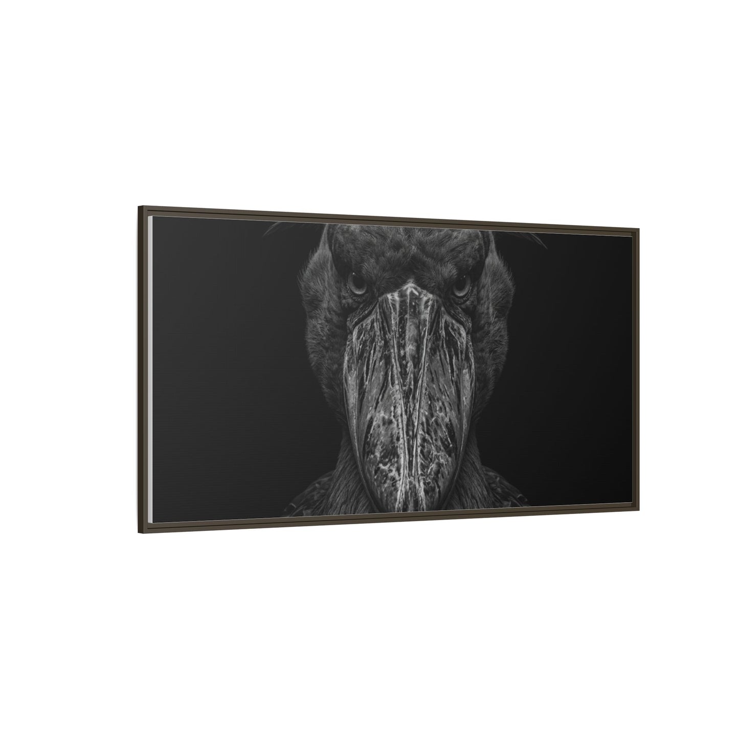 Framed Canvas Print — Shoebill Stock In Black