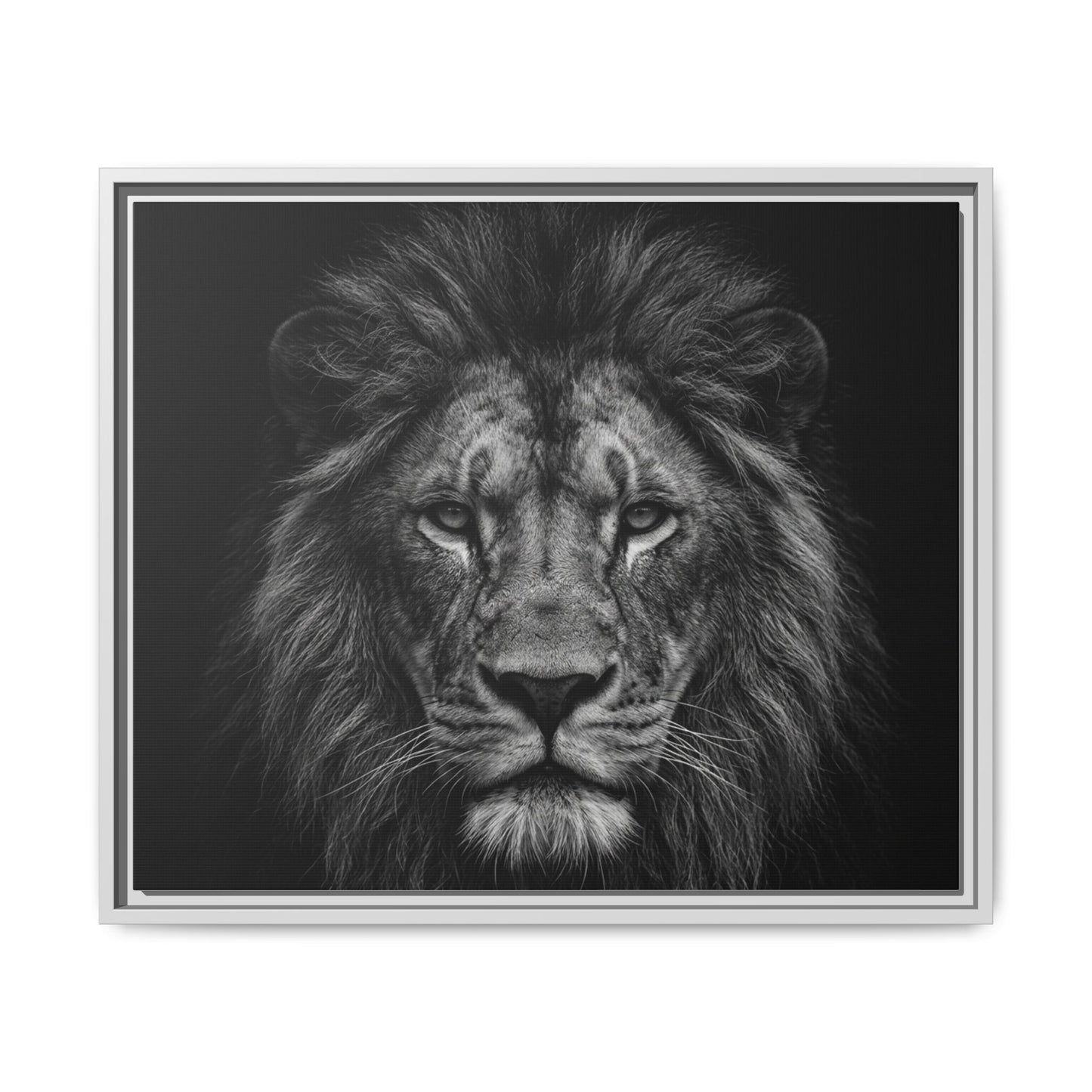 Framed Canvas Print — Lion In Black