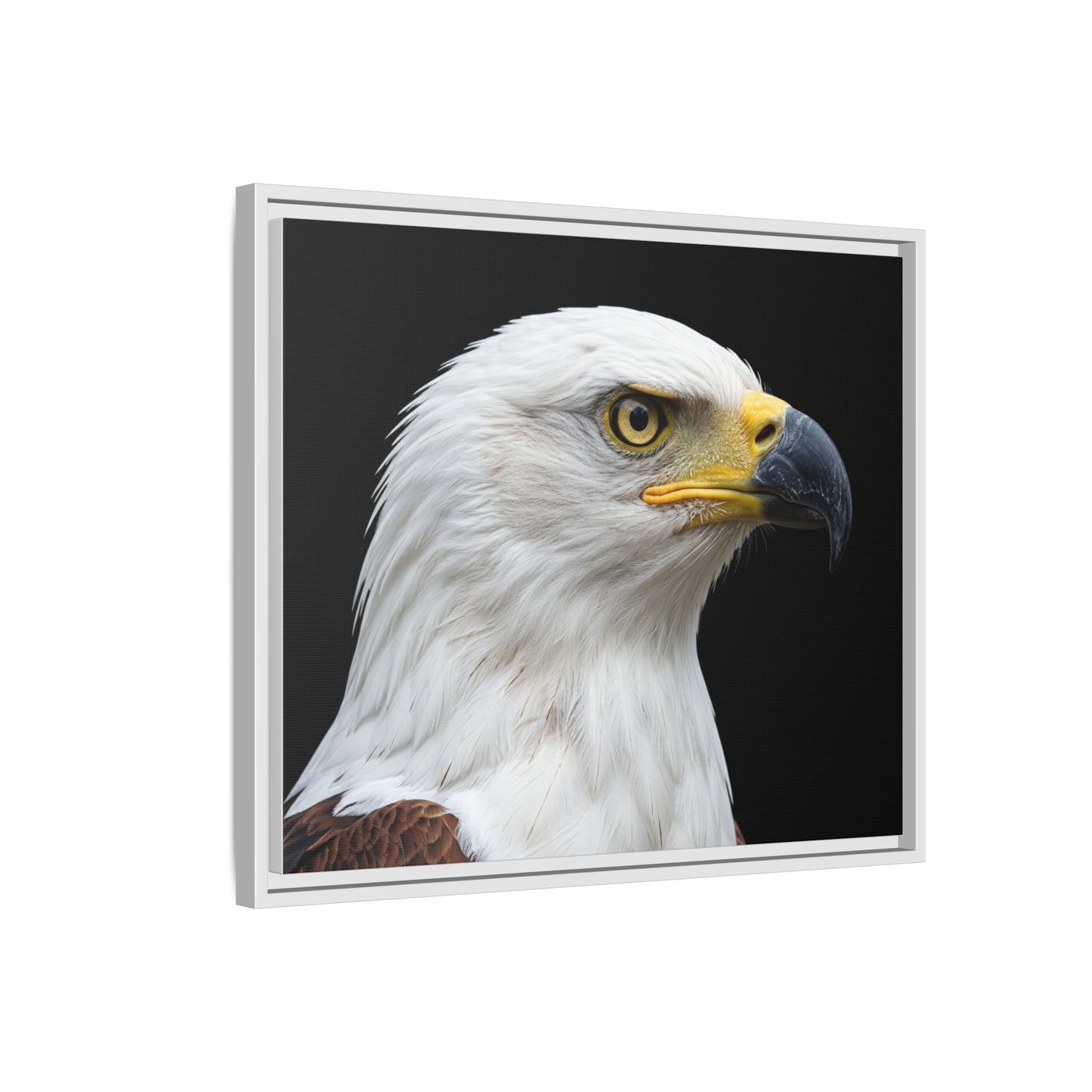 Framed Canvas Print — Fish Eagle In Colour