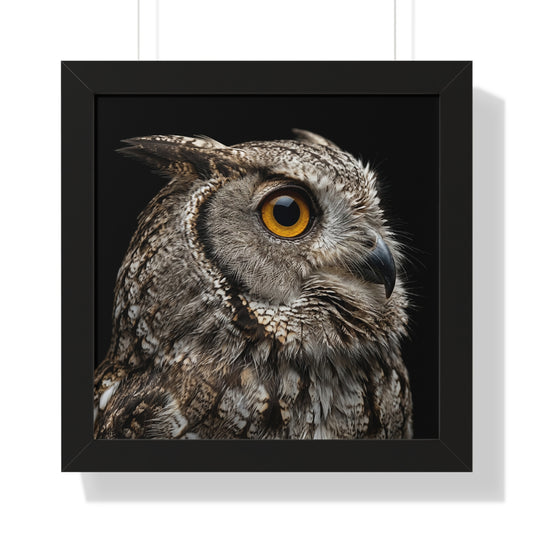 Framed Art Print – Scops Owl In Colour