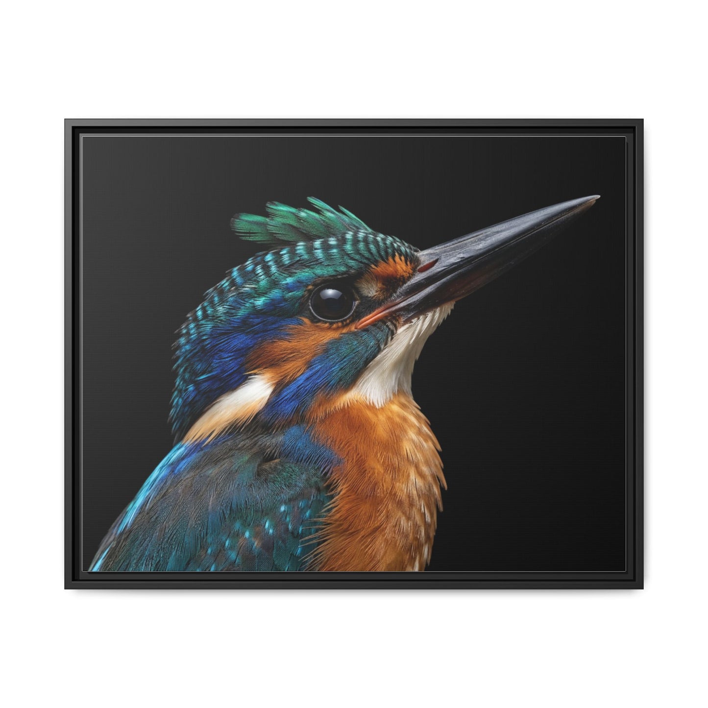 Framed Canvas Print — Malachite Kingfisher In Colour