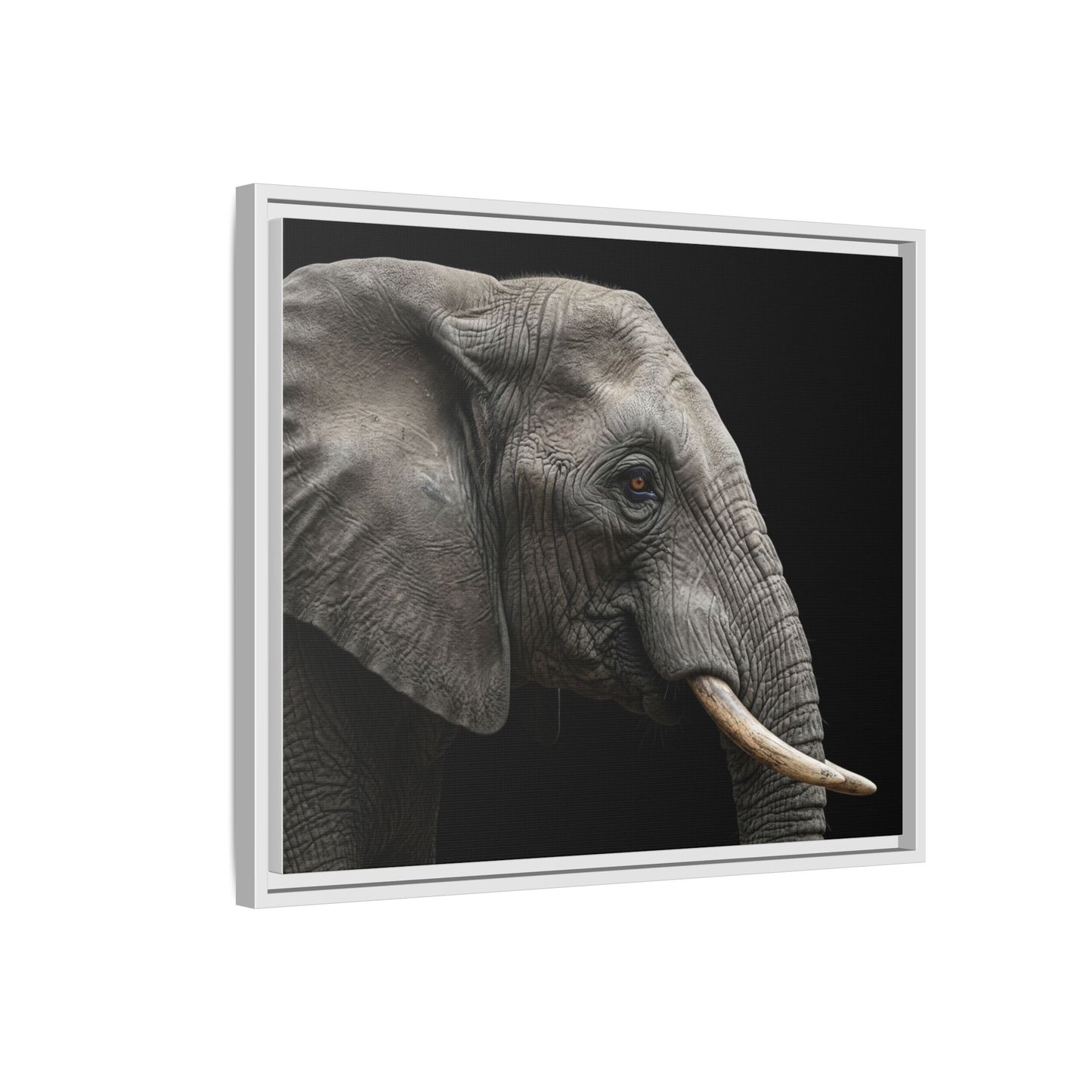 Framed Canvas Print — Elephant In Colour