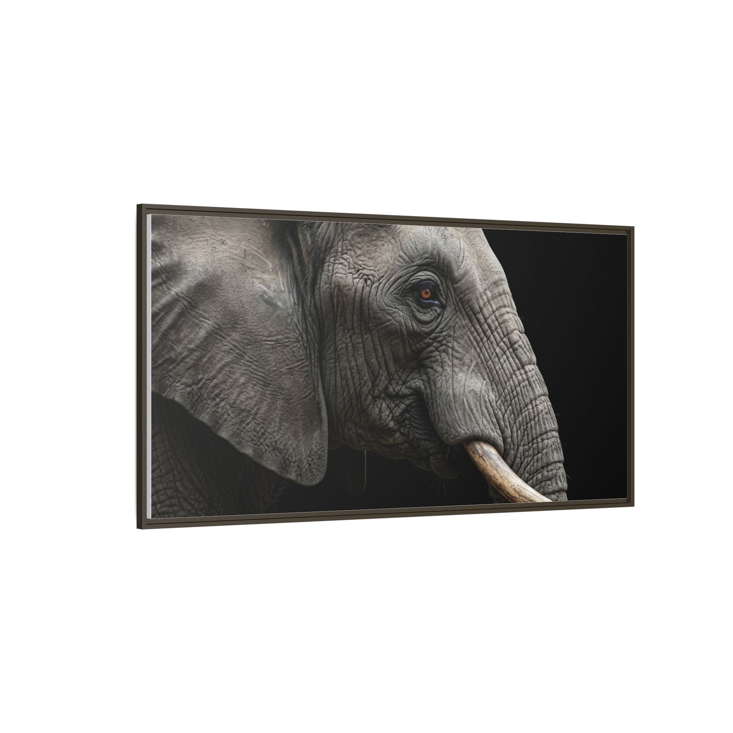 Framed Canvas Print — Elephant In Colour