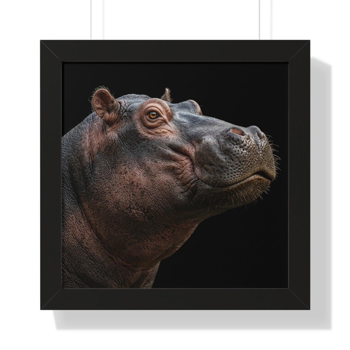 Framed Art Print – Hippopotamus In Colour