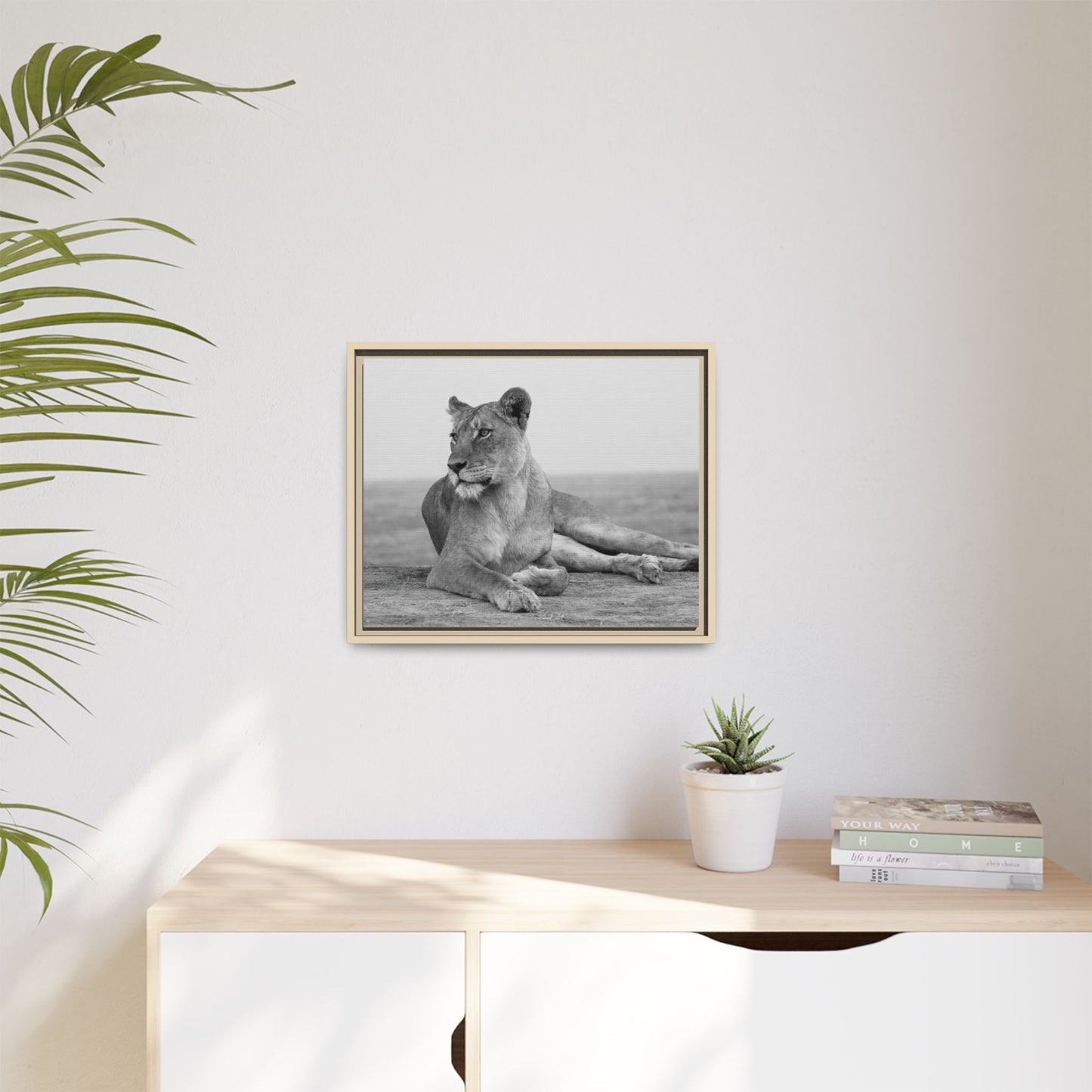 Framed Canvas Print — Lioness In Repose