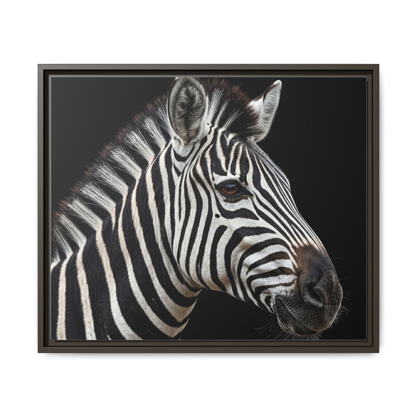 Framed Canvas Print — Zebra In Colour