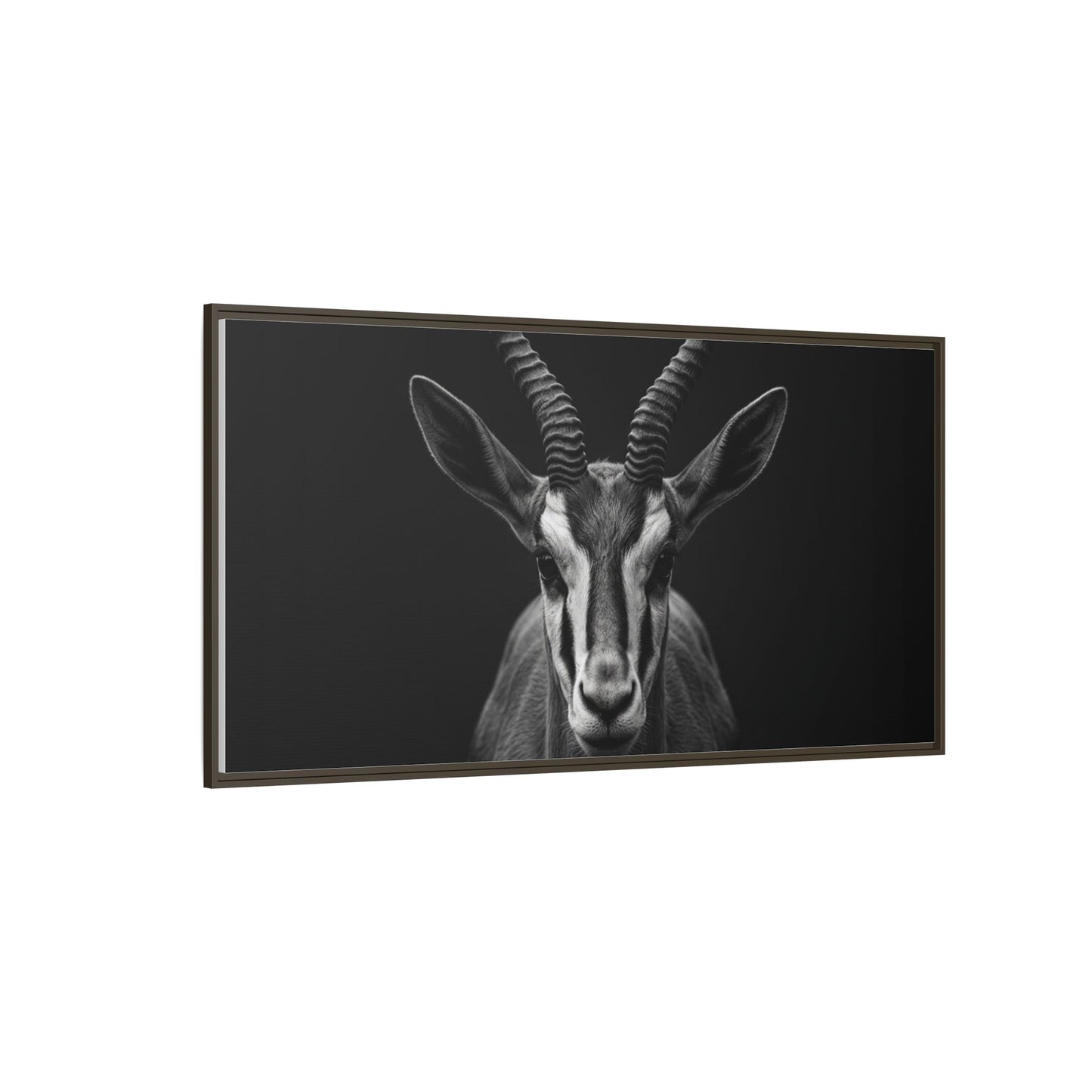 Framed Canvas Print — Springbok In Black