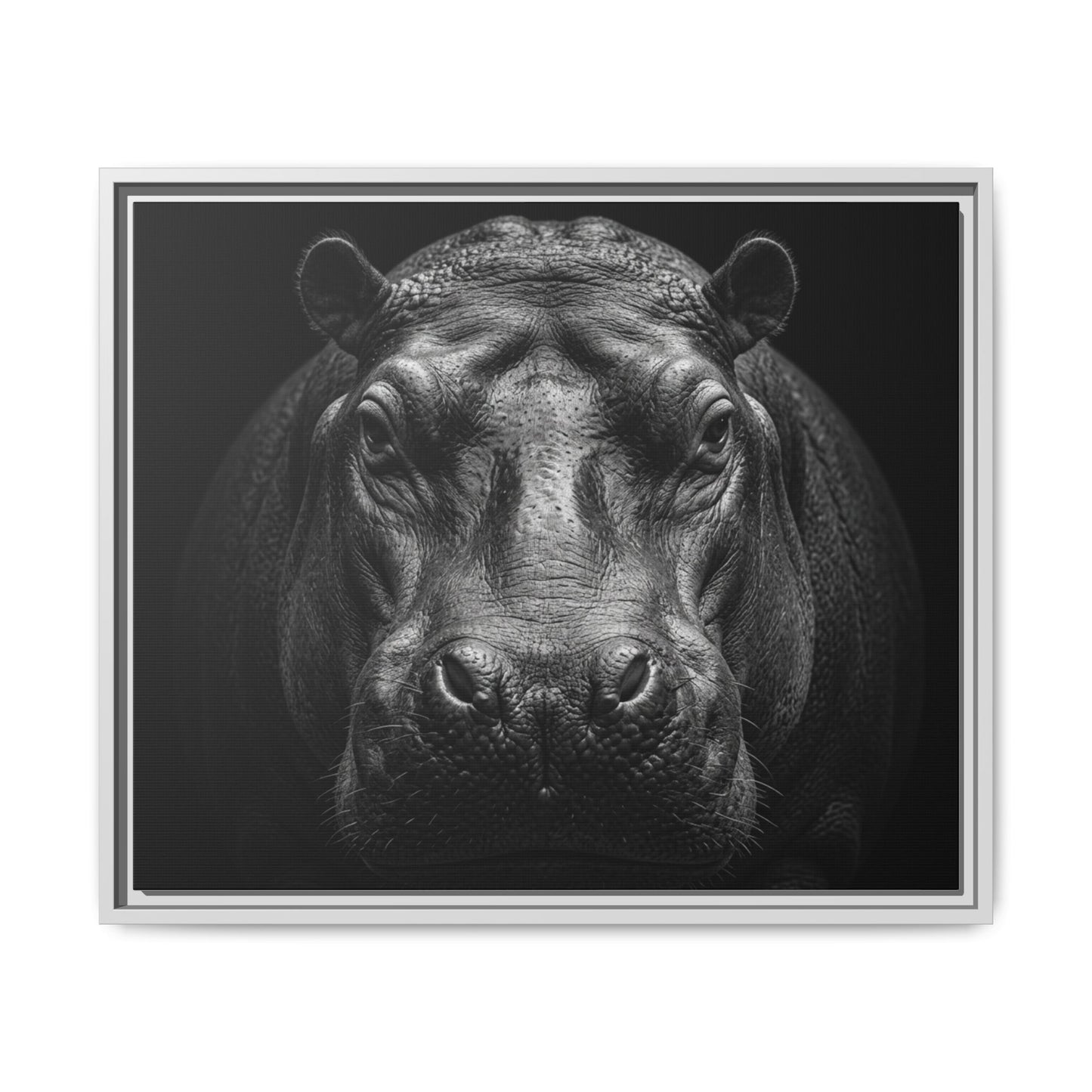 Framed Canvas Print — Hippopotamus In Black