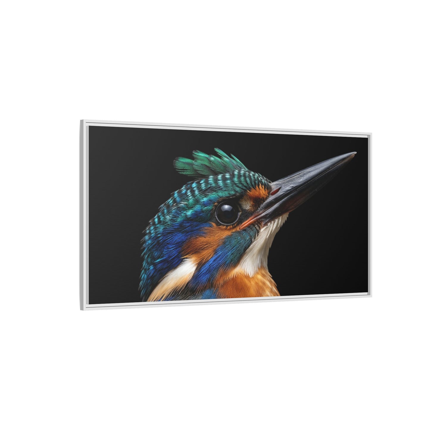 Framed Canvas Print — Malachite Kingfisher In Colour