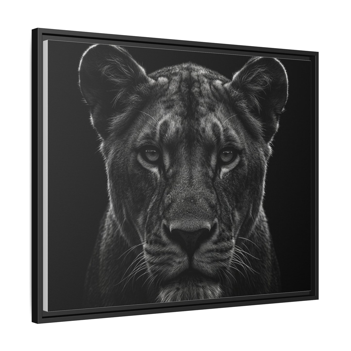 Framed Canvas Print — Lioness In Black