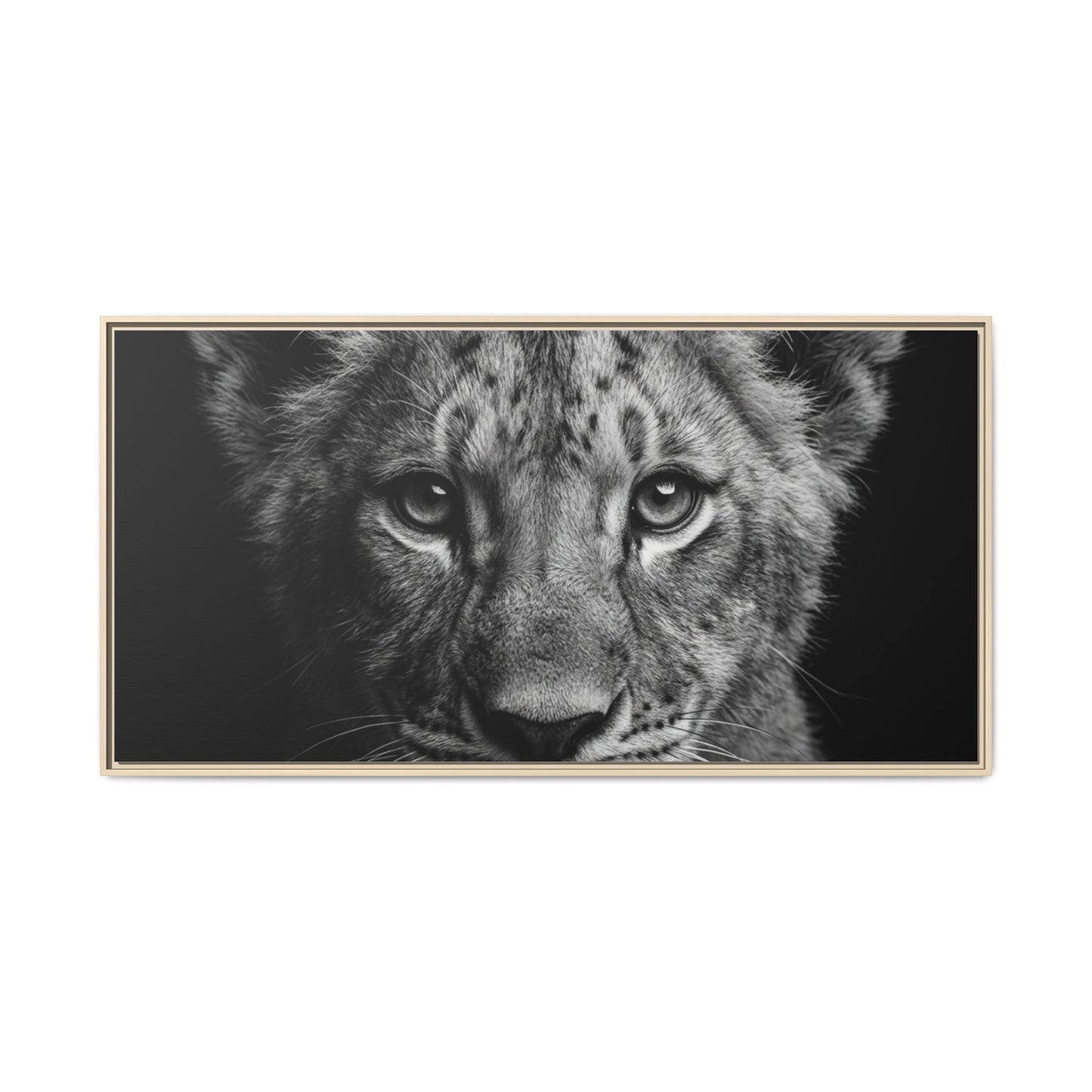 Framed Canvas Print — Lion Cub In Black