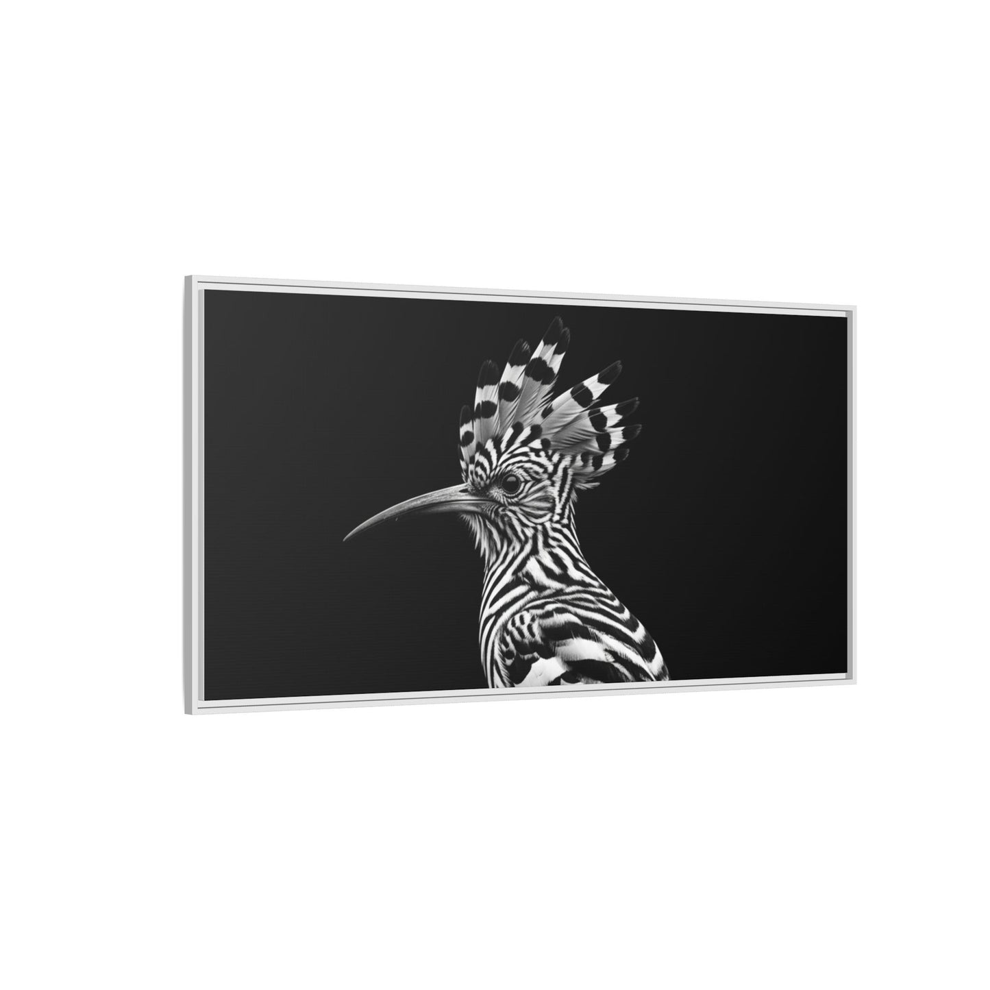 Framed Canvas Print — Afrikan Hoopoe In Black