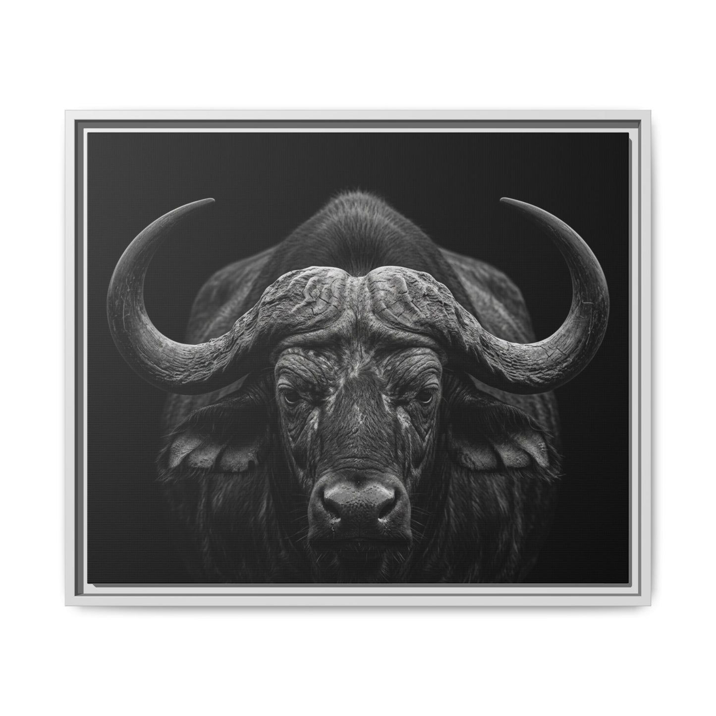 Framed Canvas Print — Cape Buffalo In Black