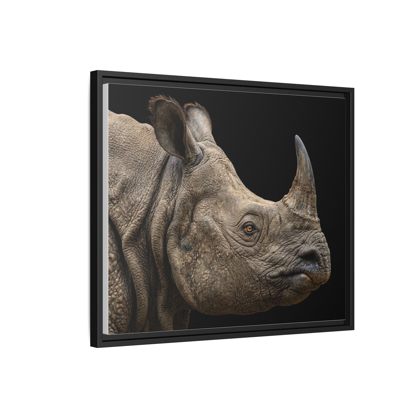 Framed Canvas Print — Rhinoceros In Colour
