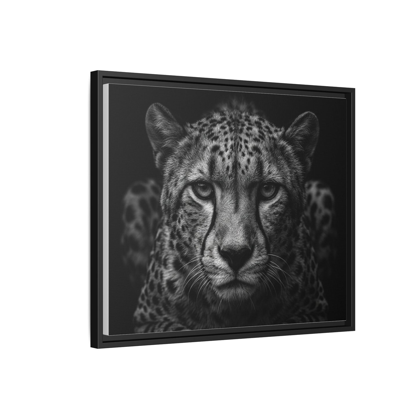 Framed Canvas Print — Cheetah In Black