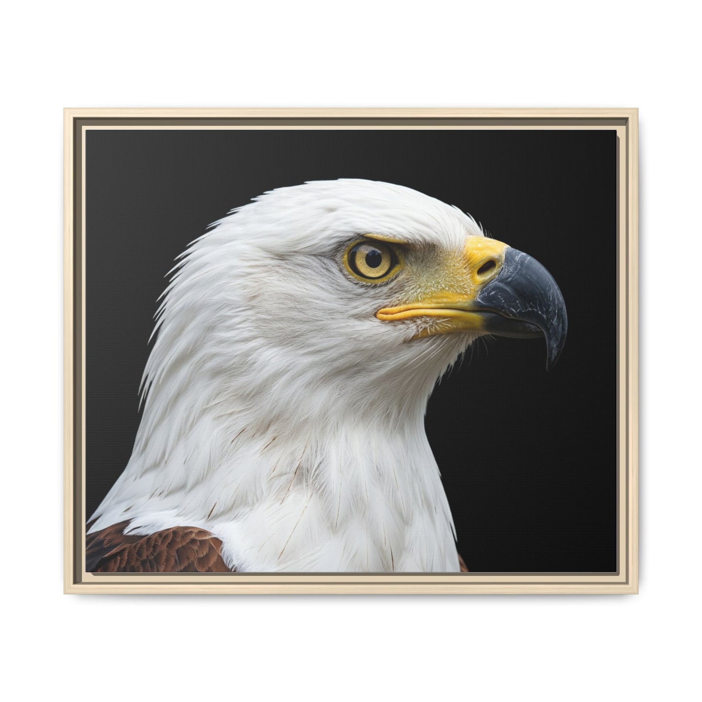 Framed Canvas Print — Fish Eagle In Colour