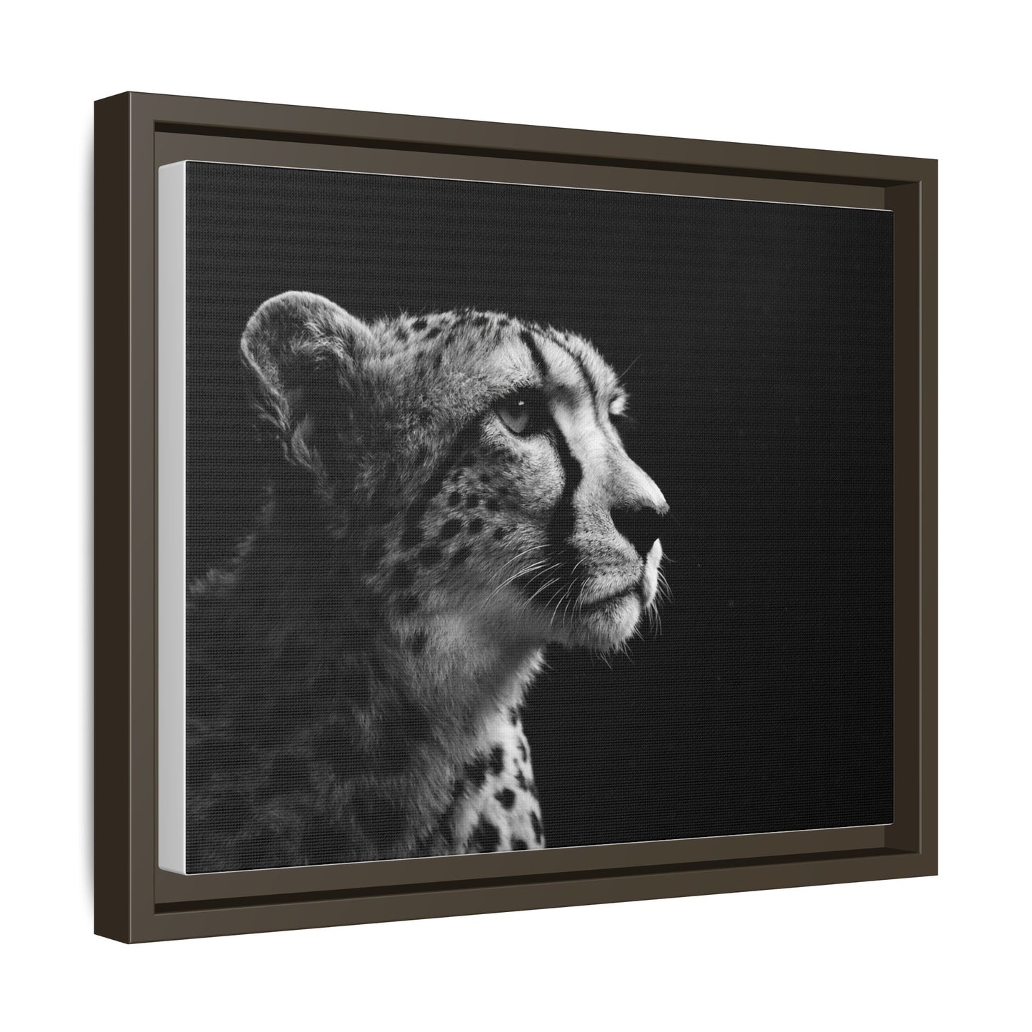 Framed Canvas Print — Cheetah Gaze
