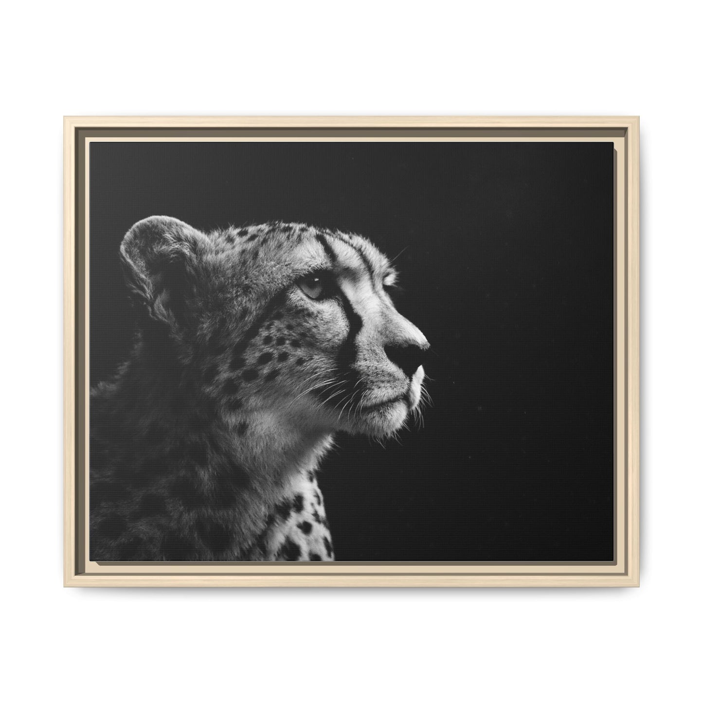 Framed Canvas Print — Cheetah Gaze