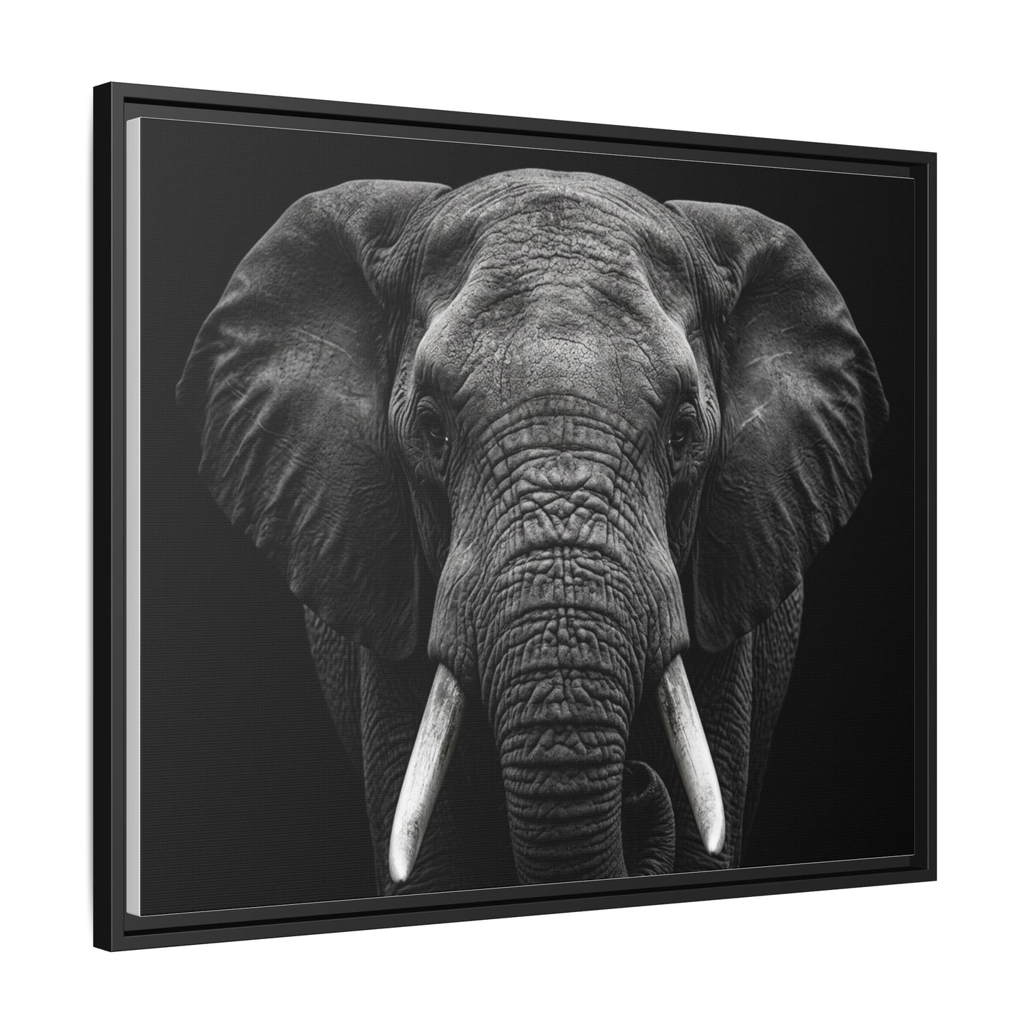 Framed Canvas Print — Elephant In Black