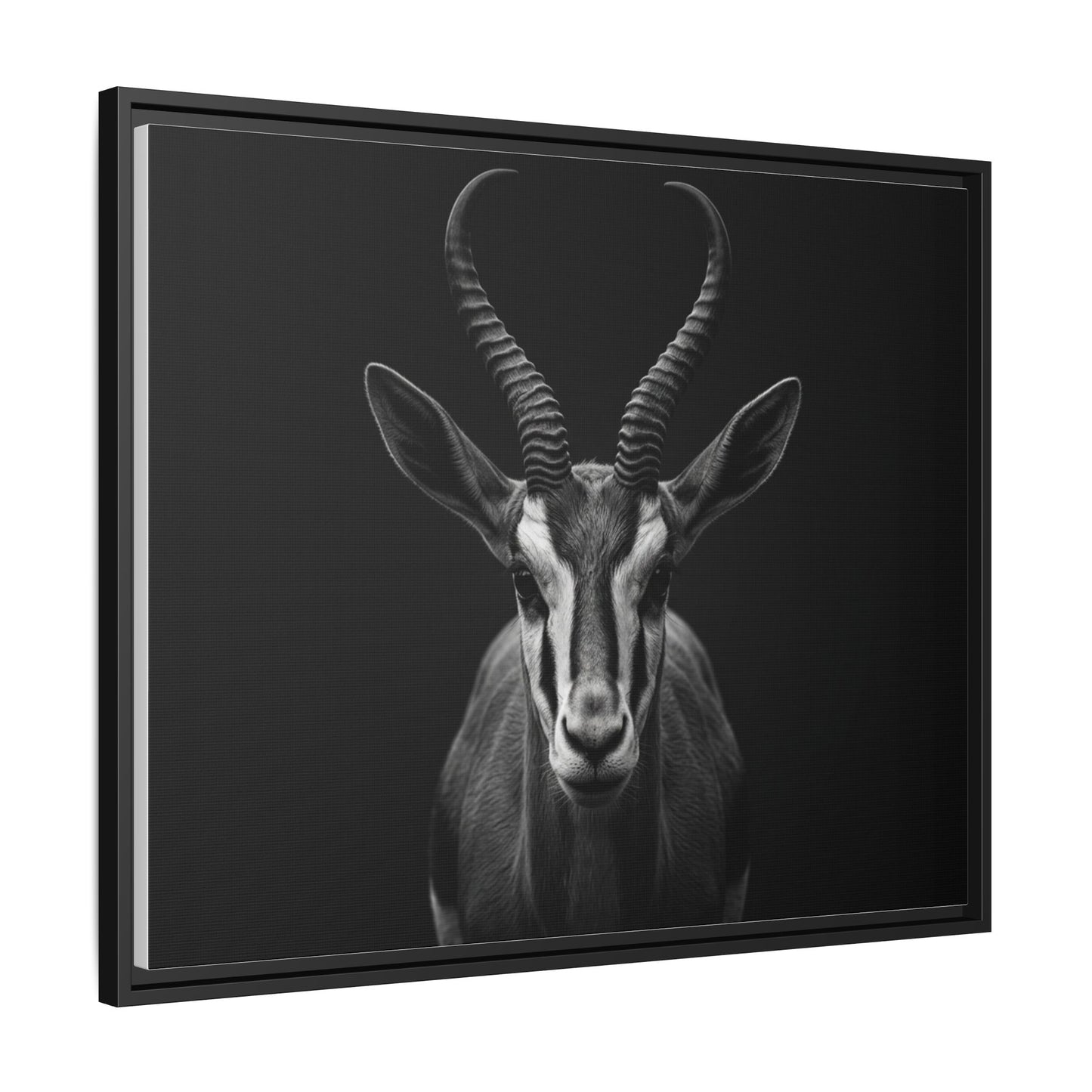 Framed Canvas Print — Springbok In Black