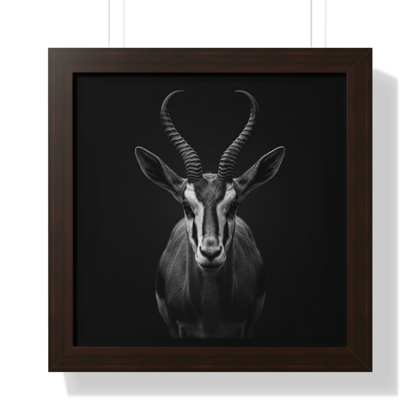 Framed Art Print – Springbok In Black